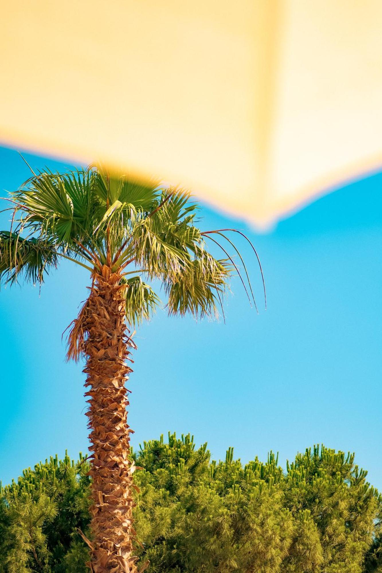Hotel Feri Surf Club Datca