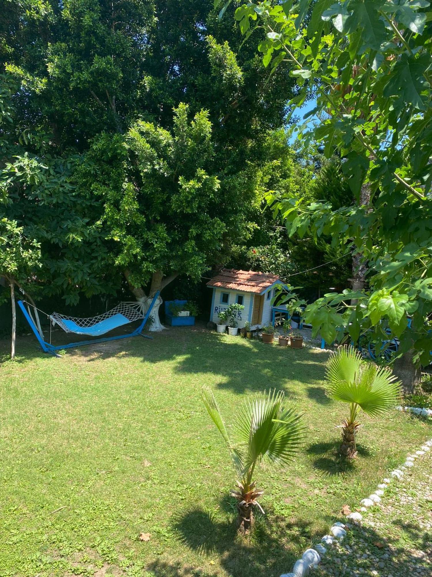 Mila Guest house