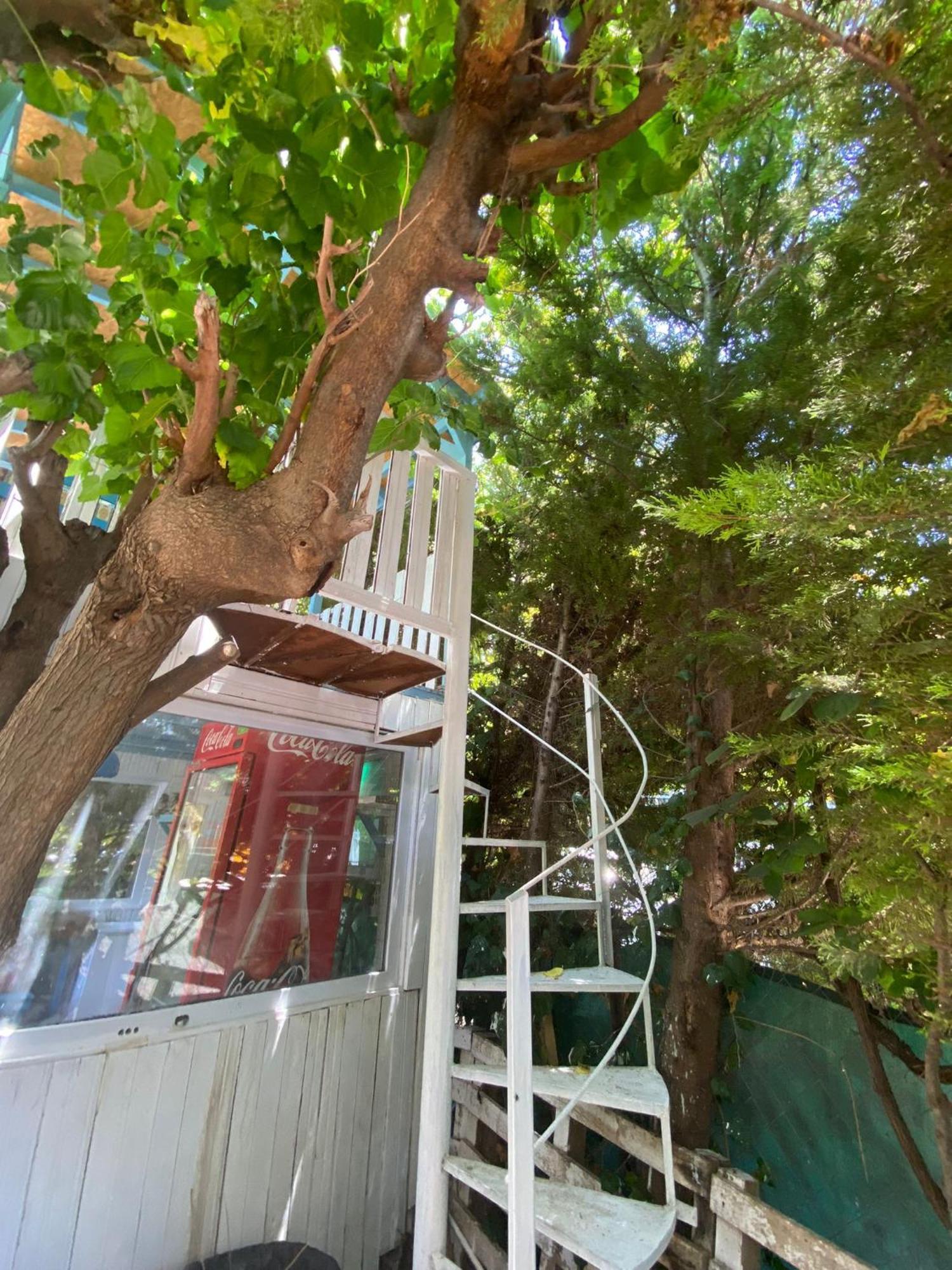 Mila Guest house Cirali