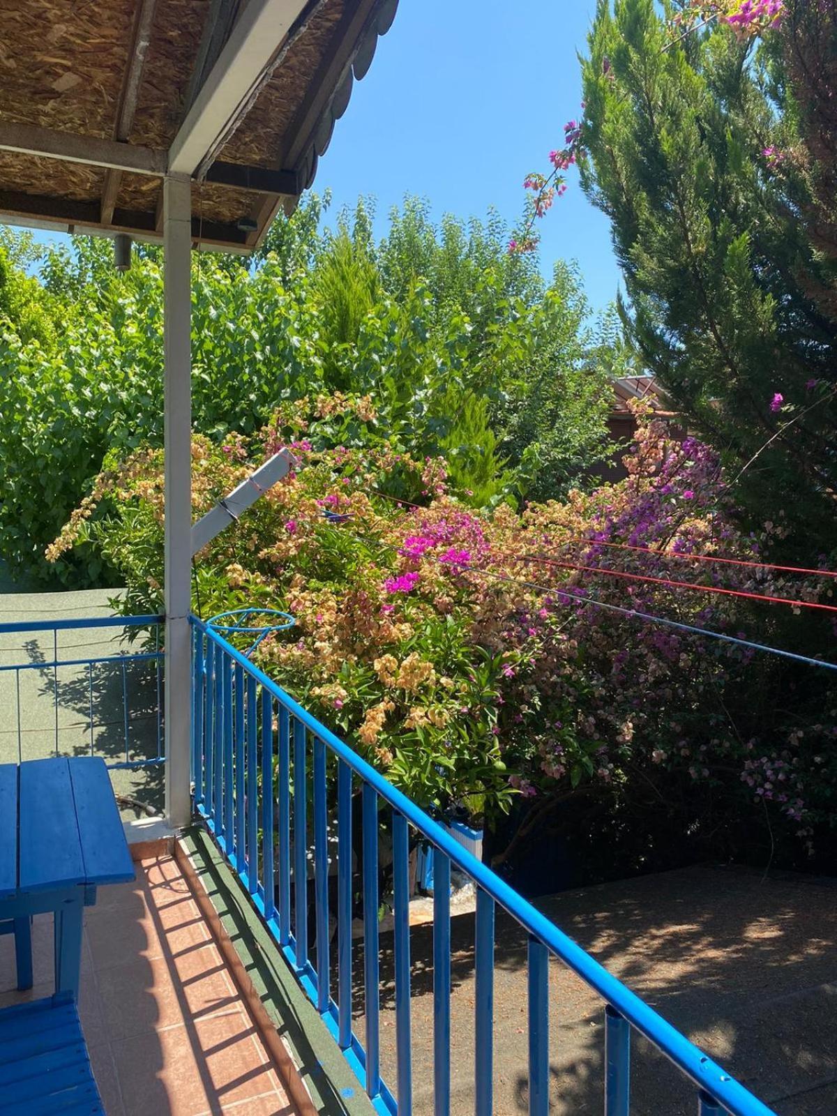 Guest house Mila Cirali
