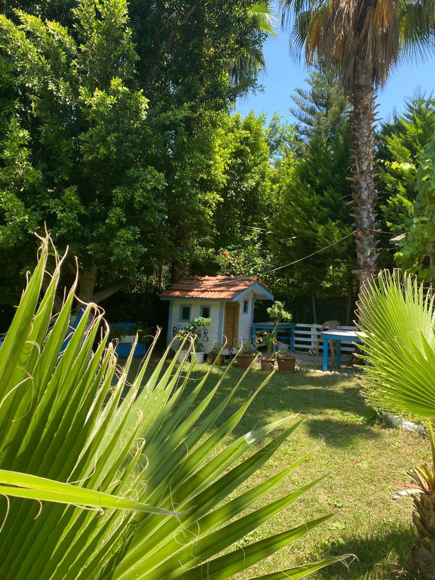 Mila Guest house 3*