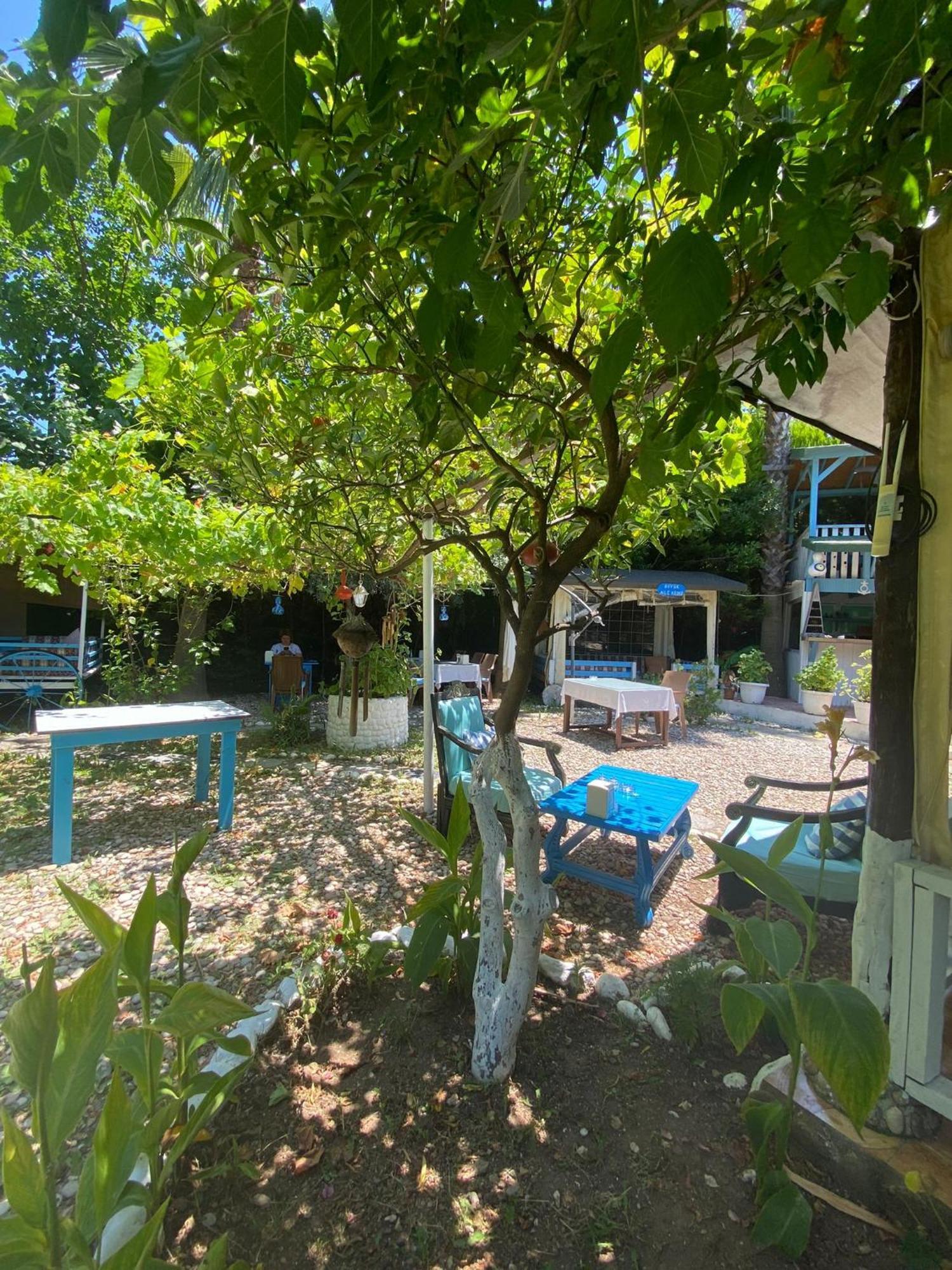 Mila Guest house 3*