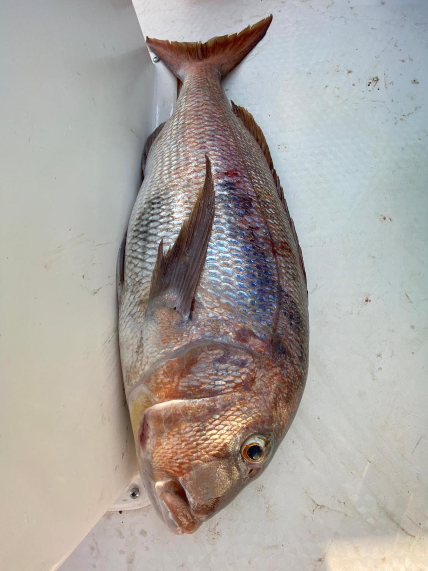 Gelidonya Kumluca