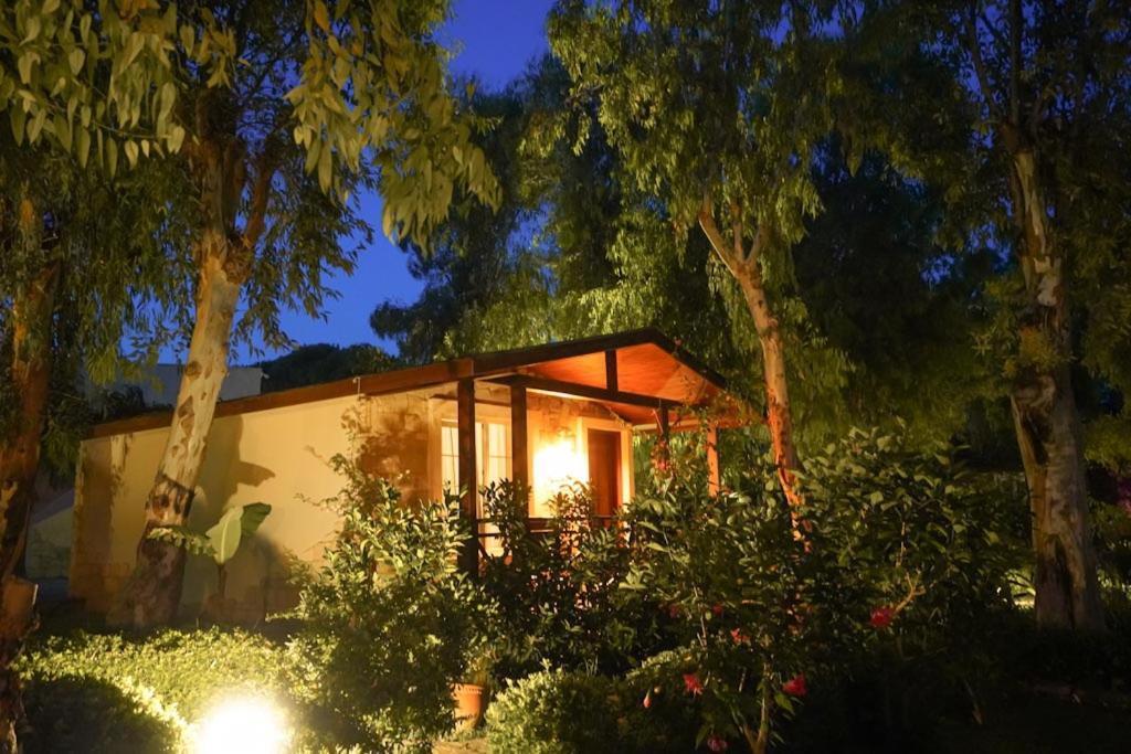 Hotel Dirik Surf