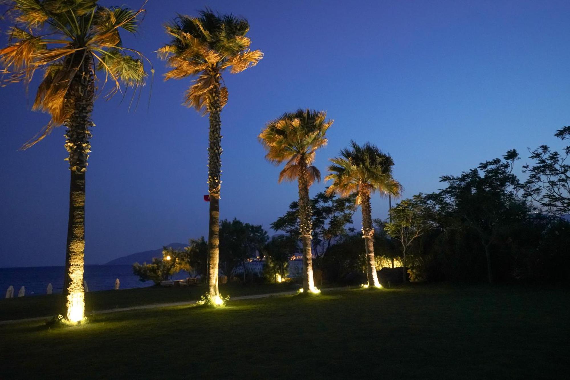 Dirik Surf Hotel *