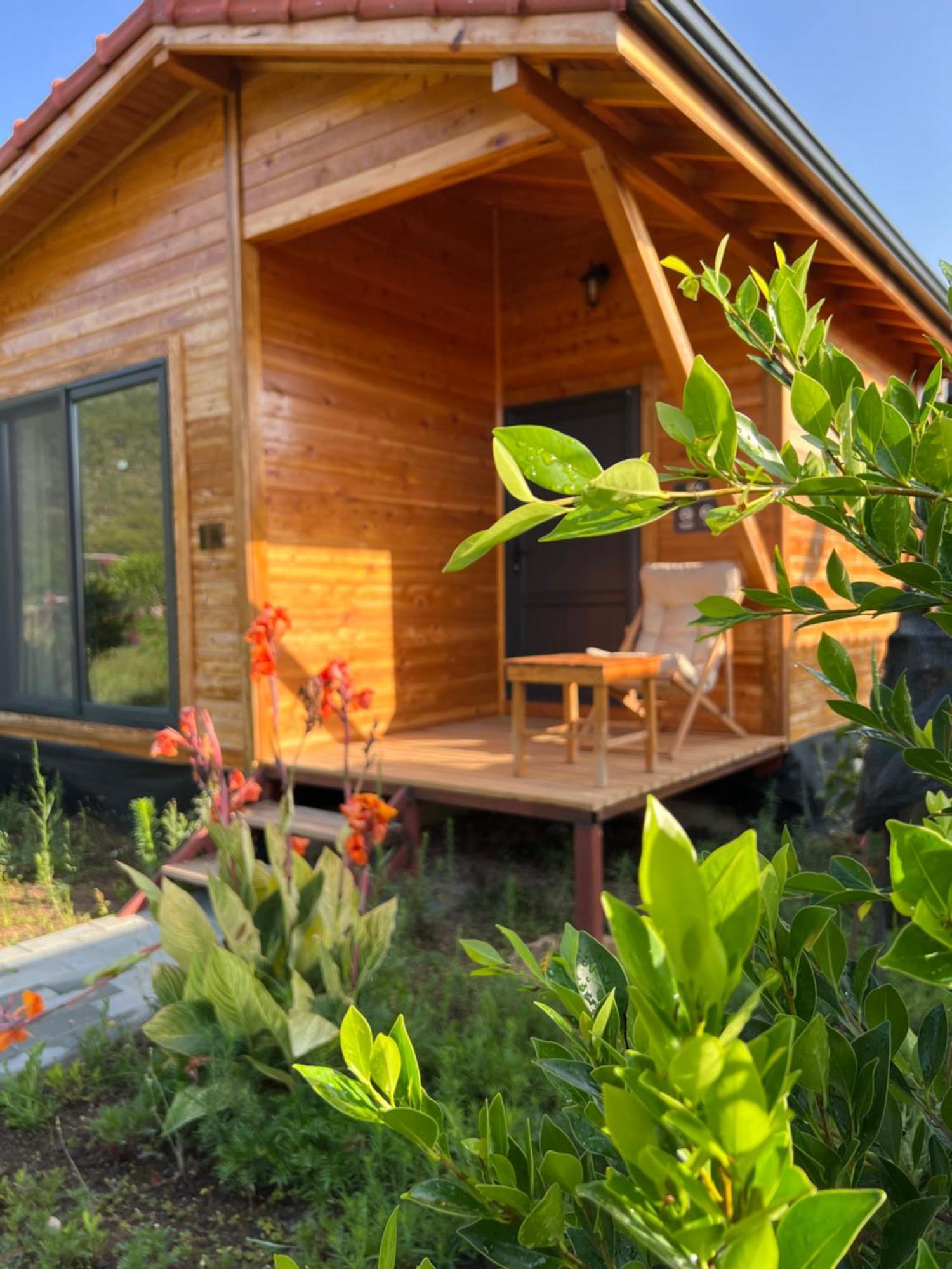 Lemon Garden Bed & Breakfast 2*