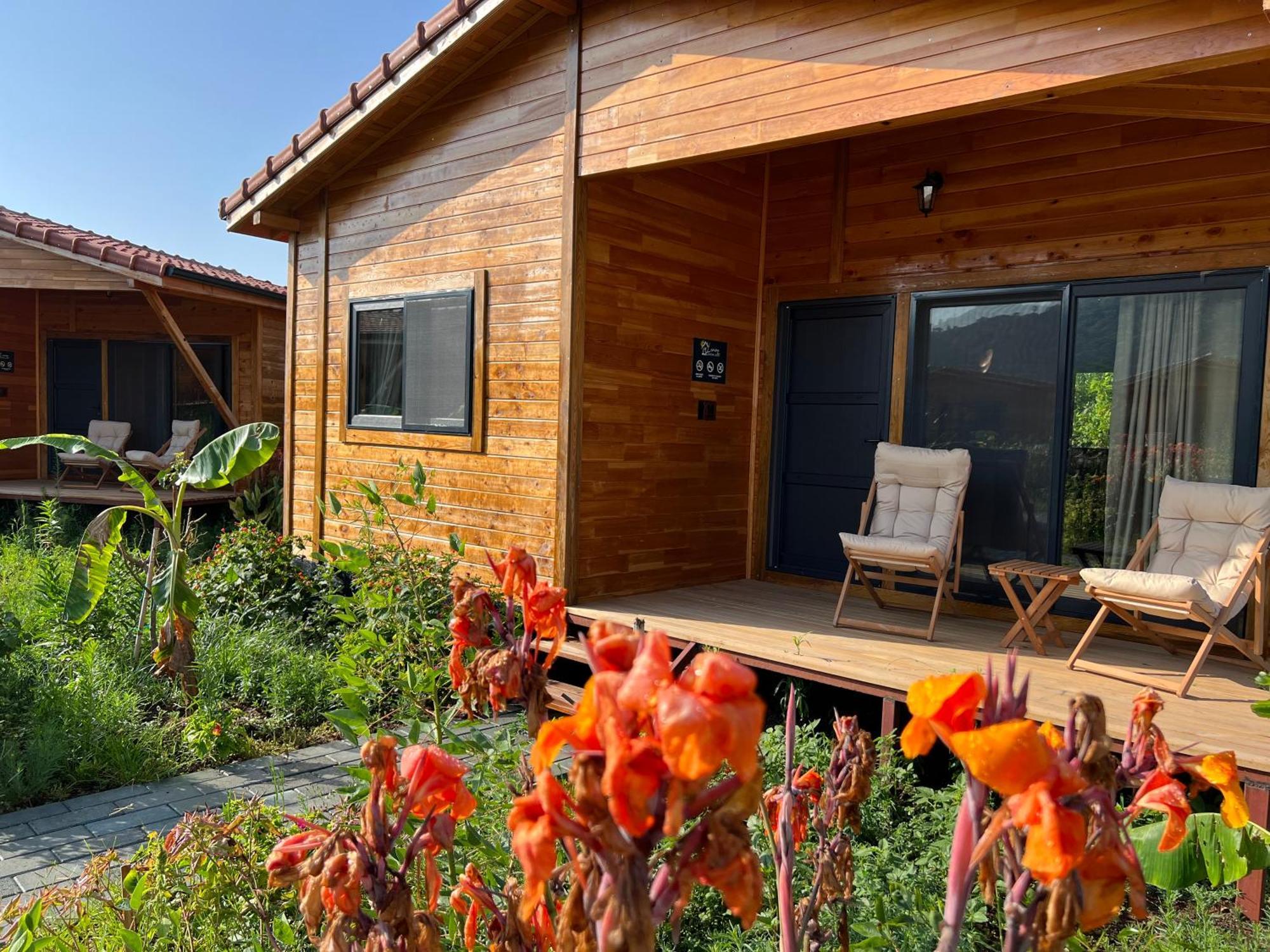 Lemon Garden Bed & Breakfast Cirali