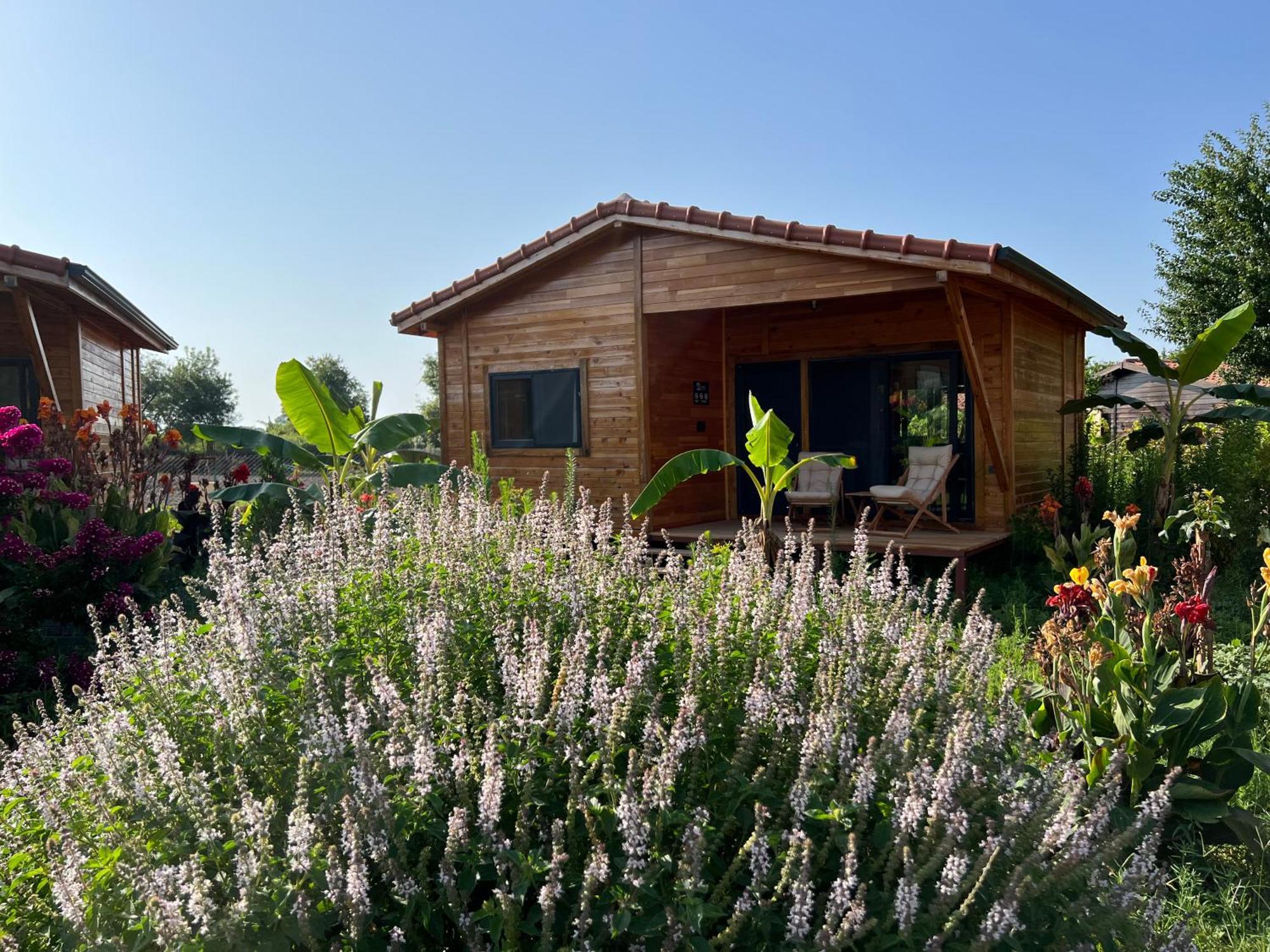 Lemon Garden Bed & Breakfast