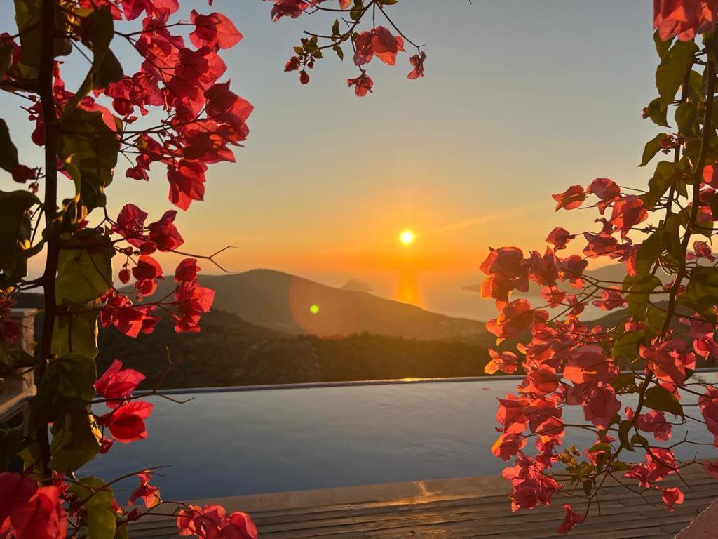 Ilda * Kalkan