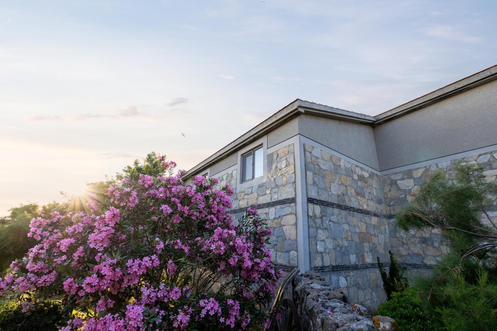 Surf Egitim Merkezi Hotel