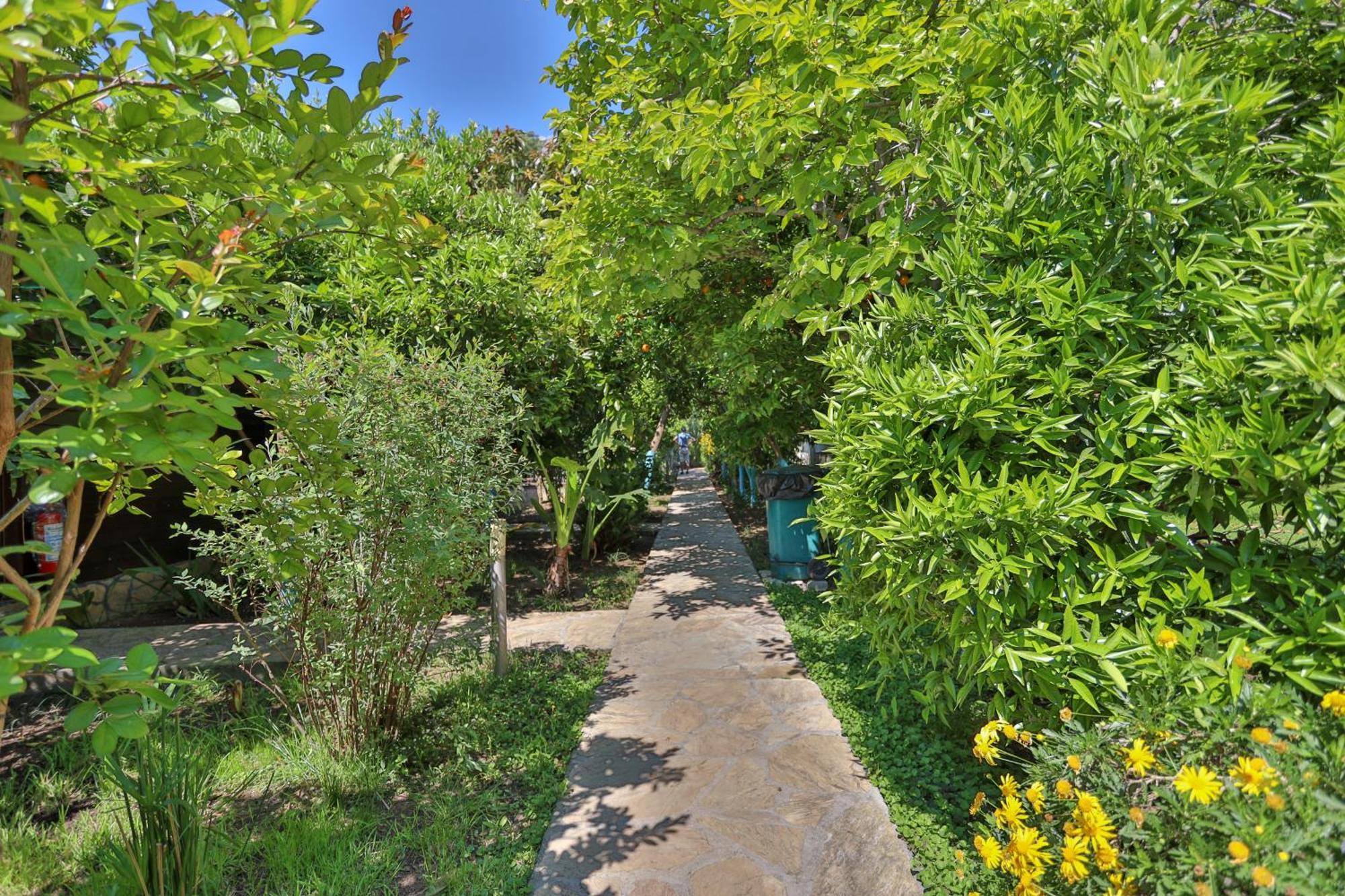 Cinderella & Guest house Cirali