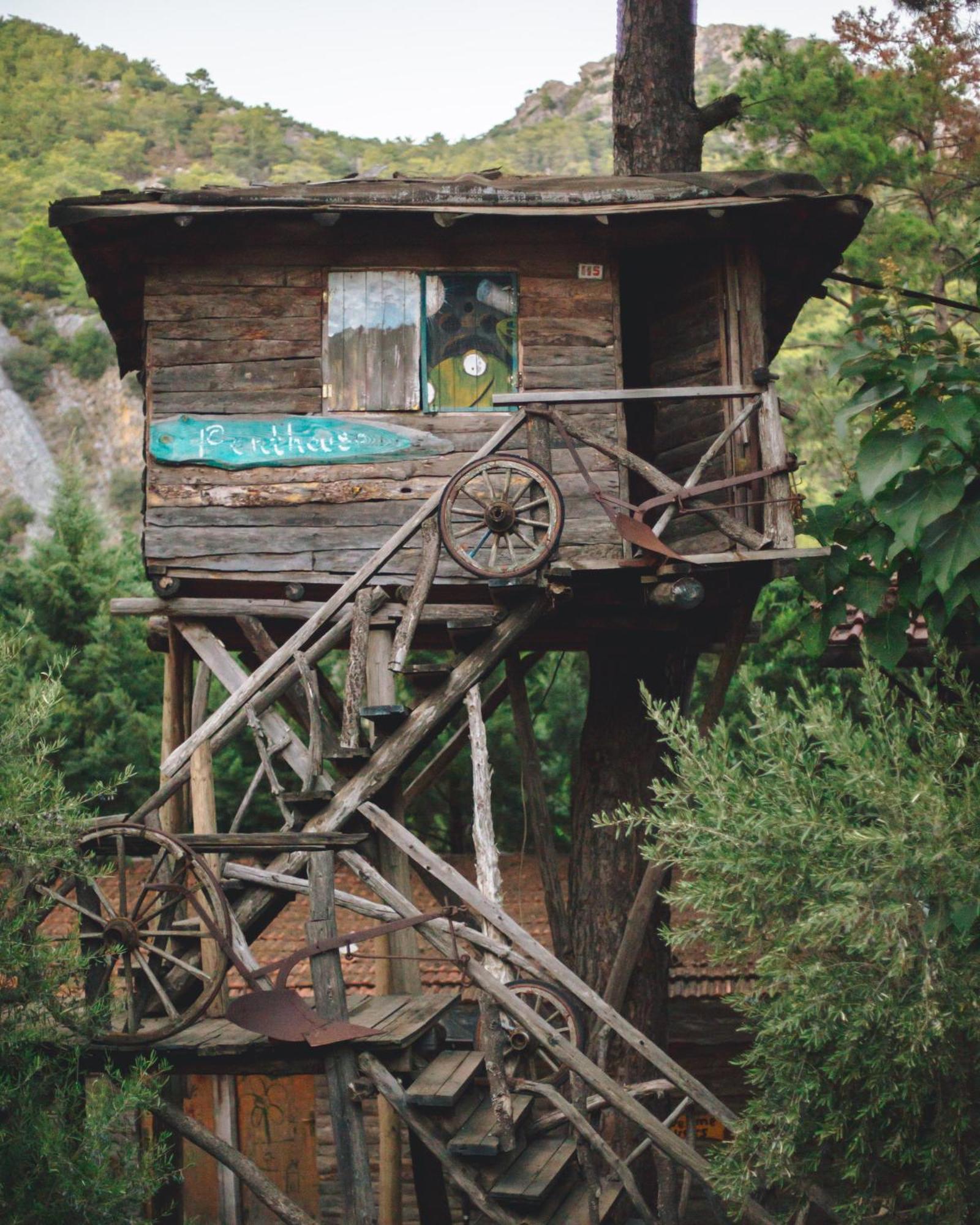 Kadir's Tree Hostel *