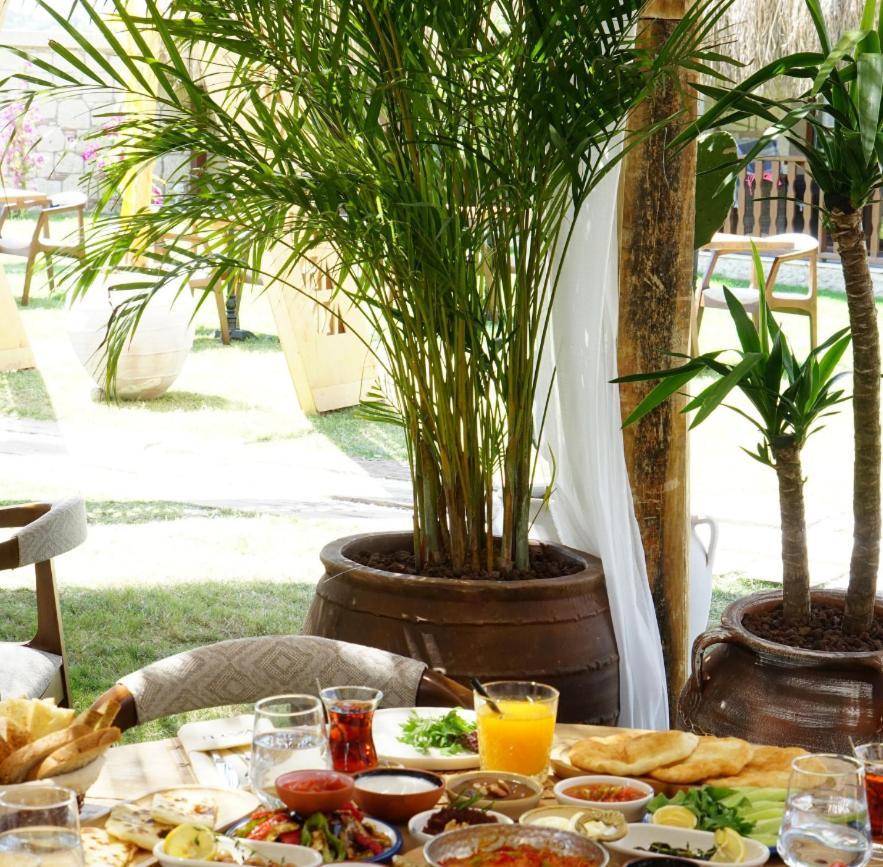 Albeon Luxury - Hotel 4*