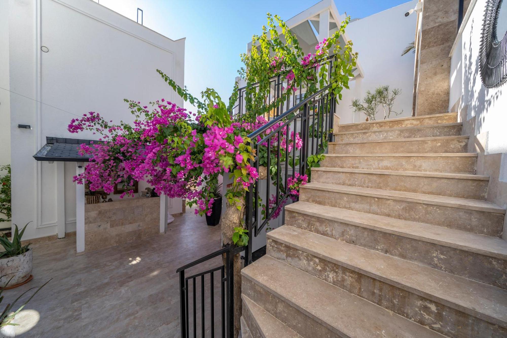 Aparthotel Noa Only Adult *