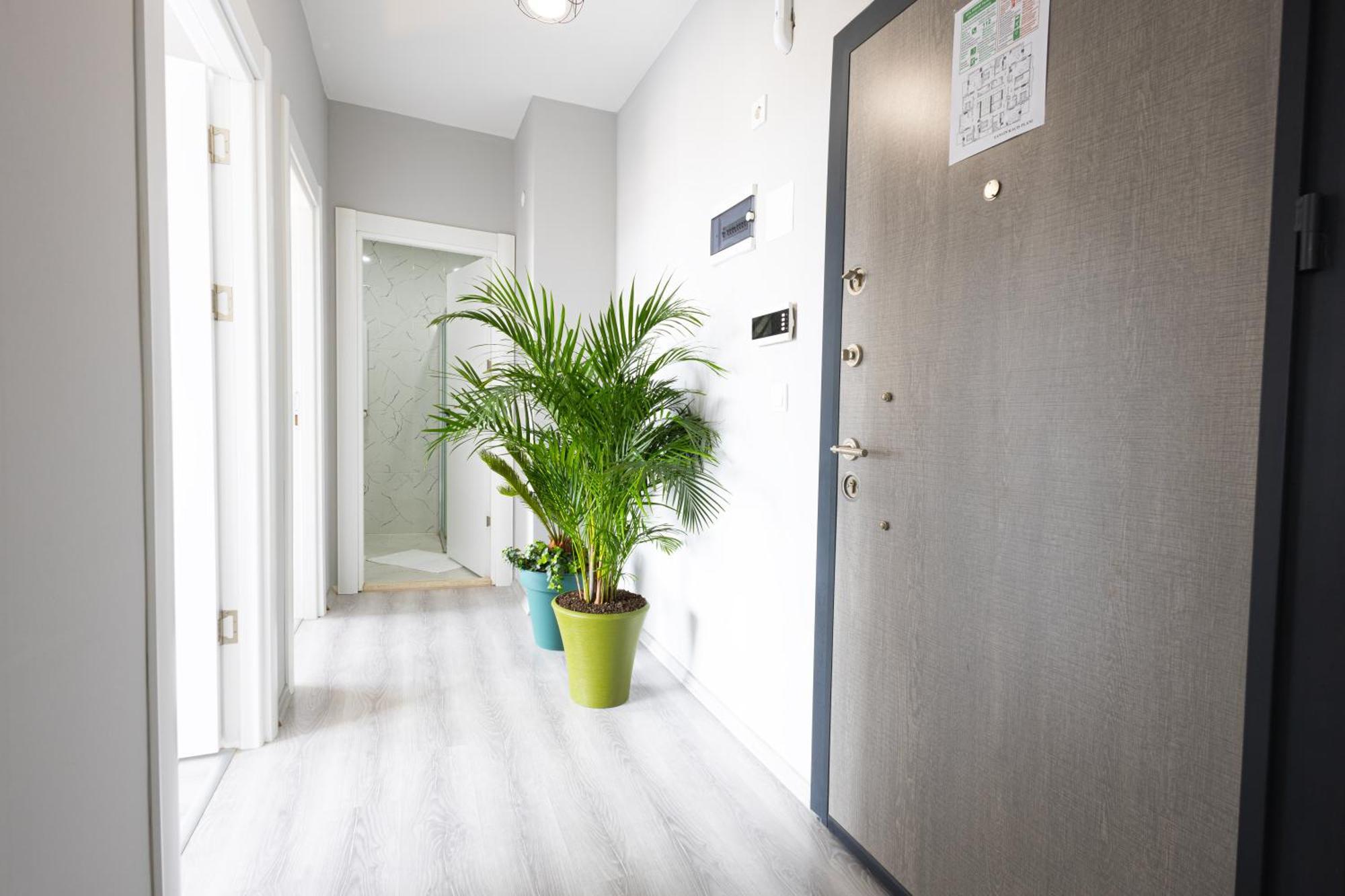 Aparthotel Zal *