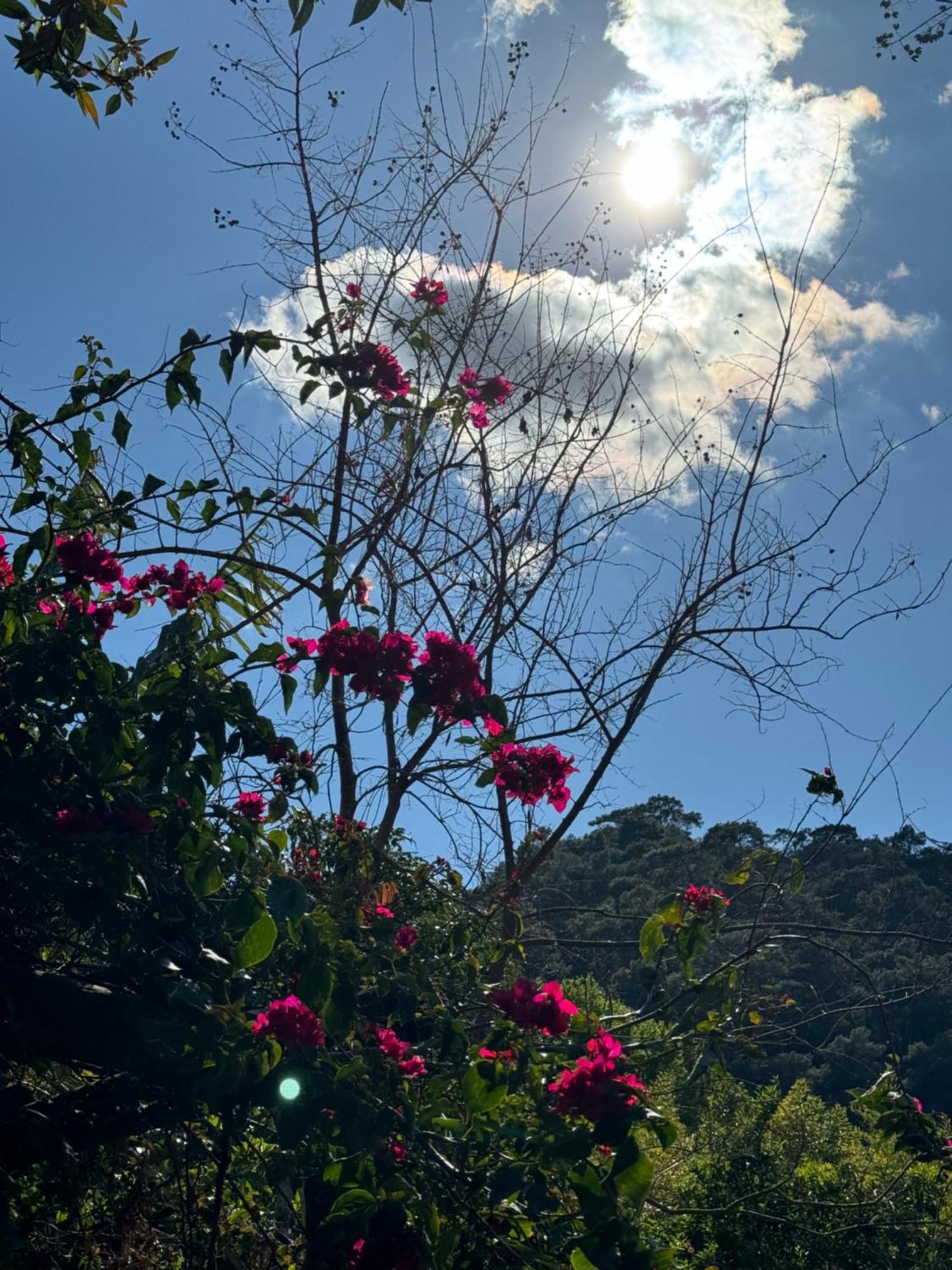Yavuz Hotel Cirali