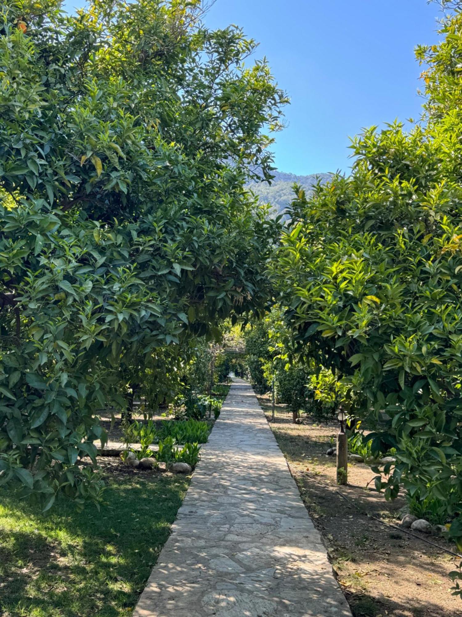 Hotel Yavuz *