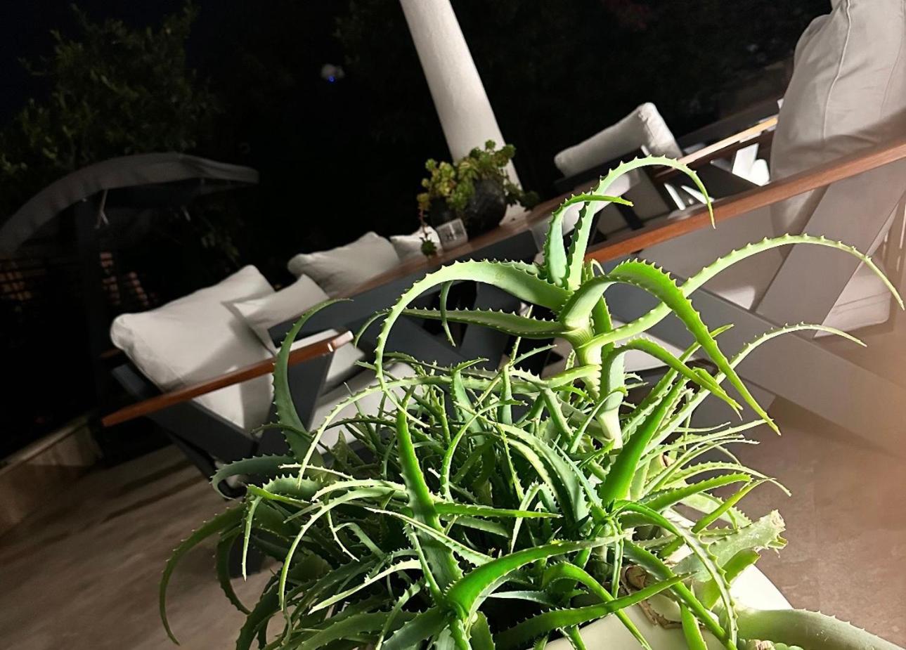 Aparthotel Noa Only Adult *