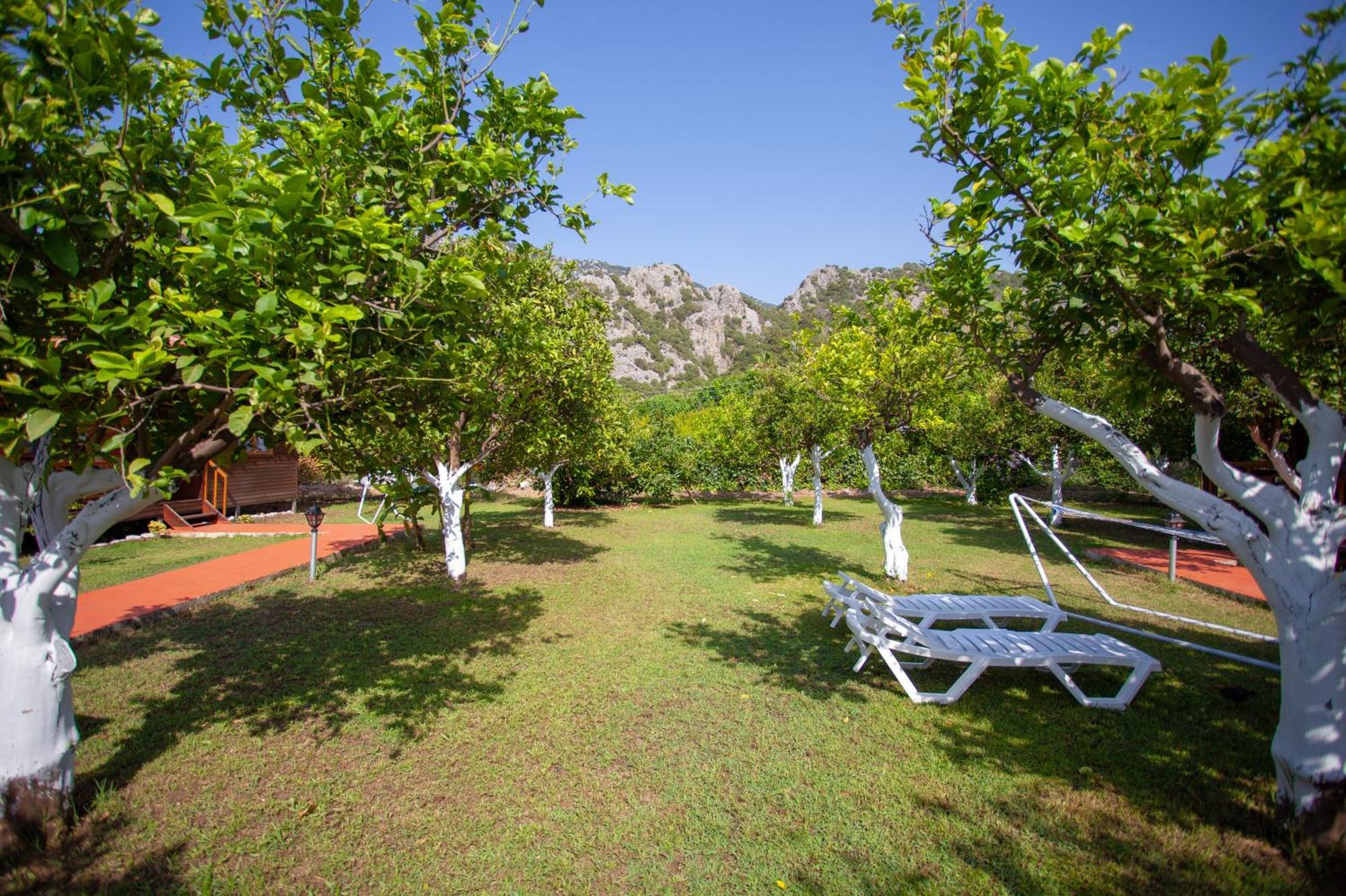 Holiday park Baris & 2*