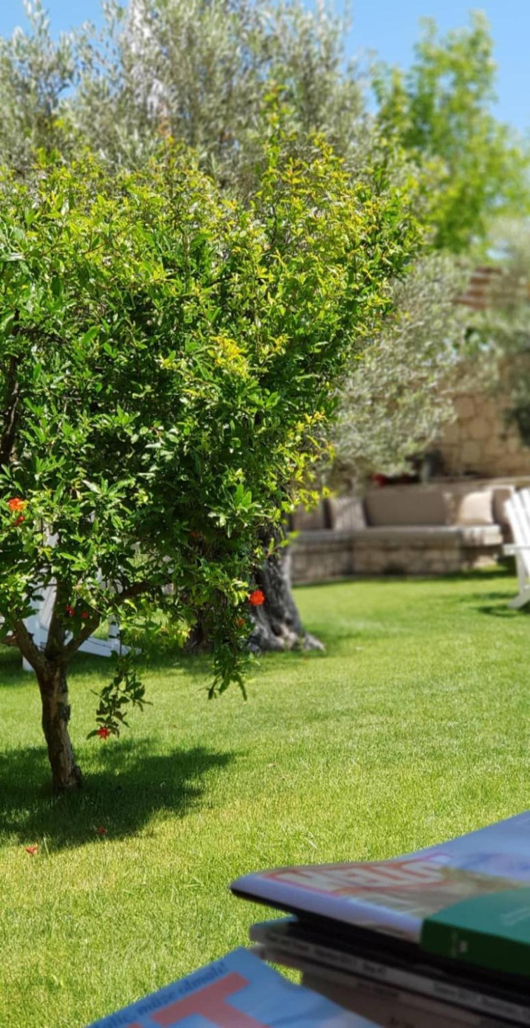 Peremere Alacati