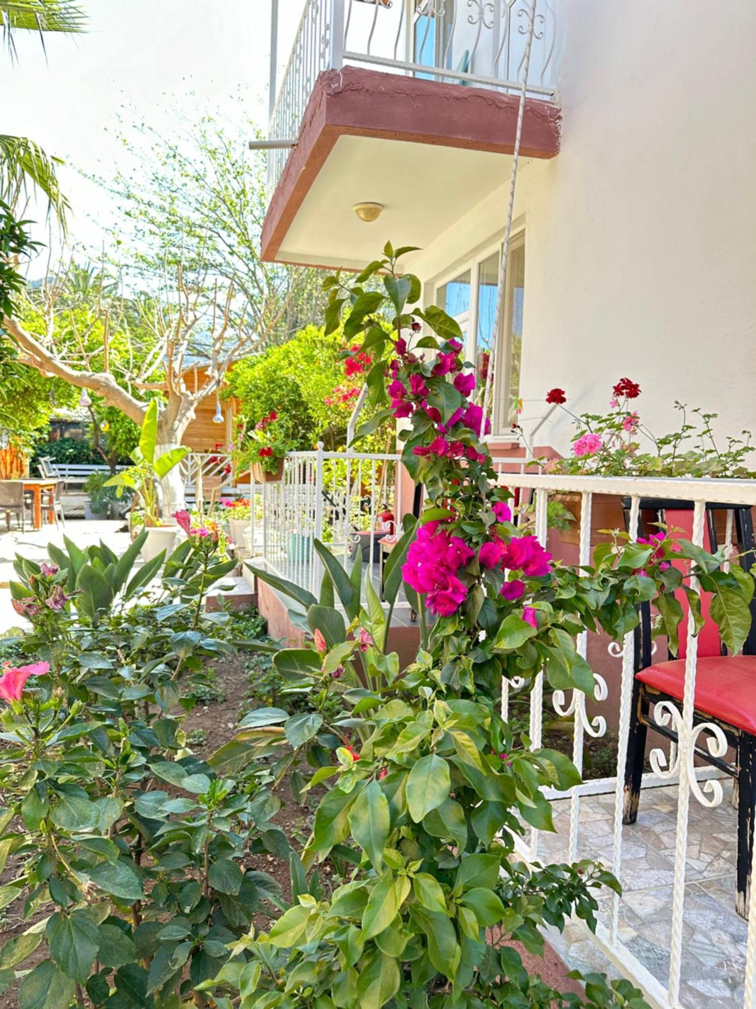 Guest house Cemils Cirali