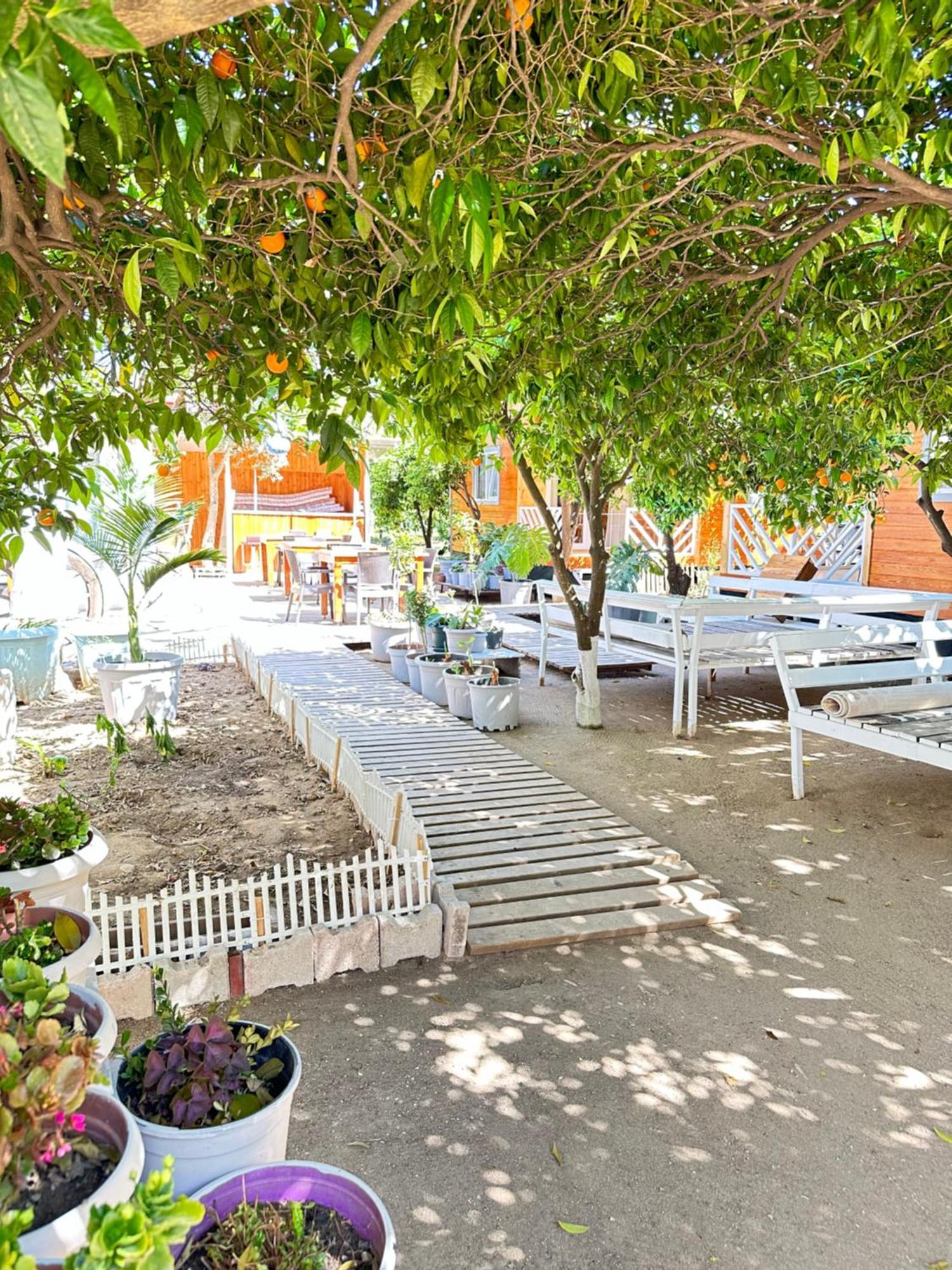 Cemils Guest house Cirali