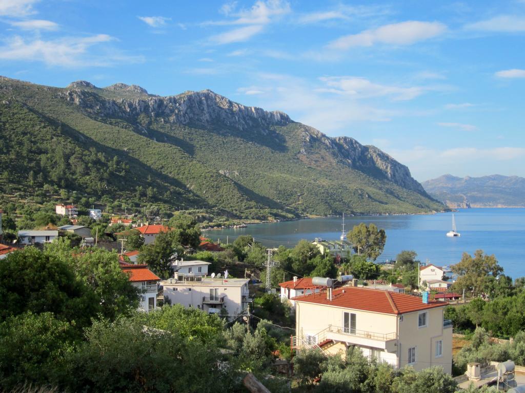 Guest house Saranda 2*