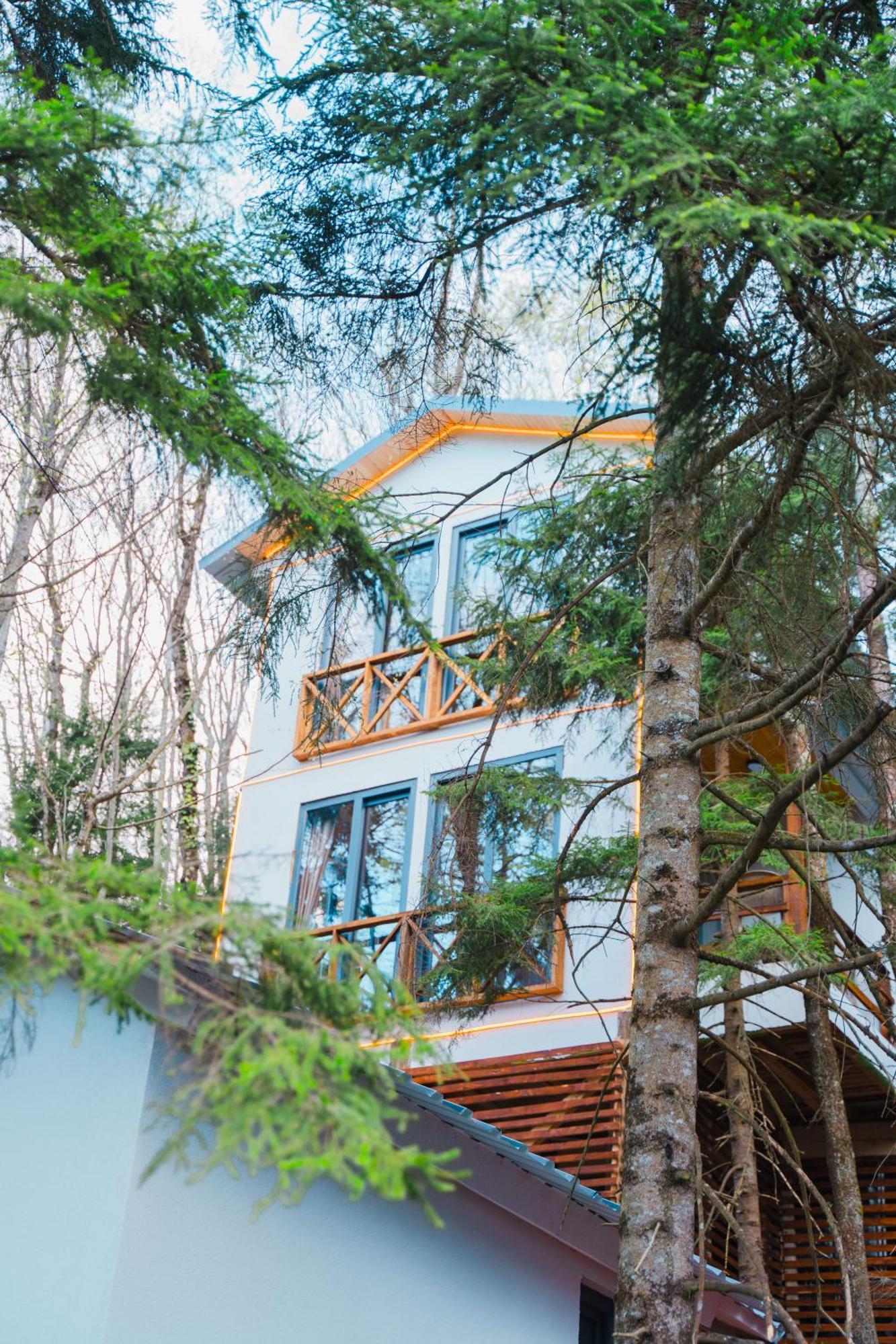 Montana Holiday home