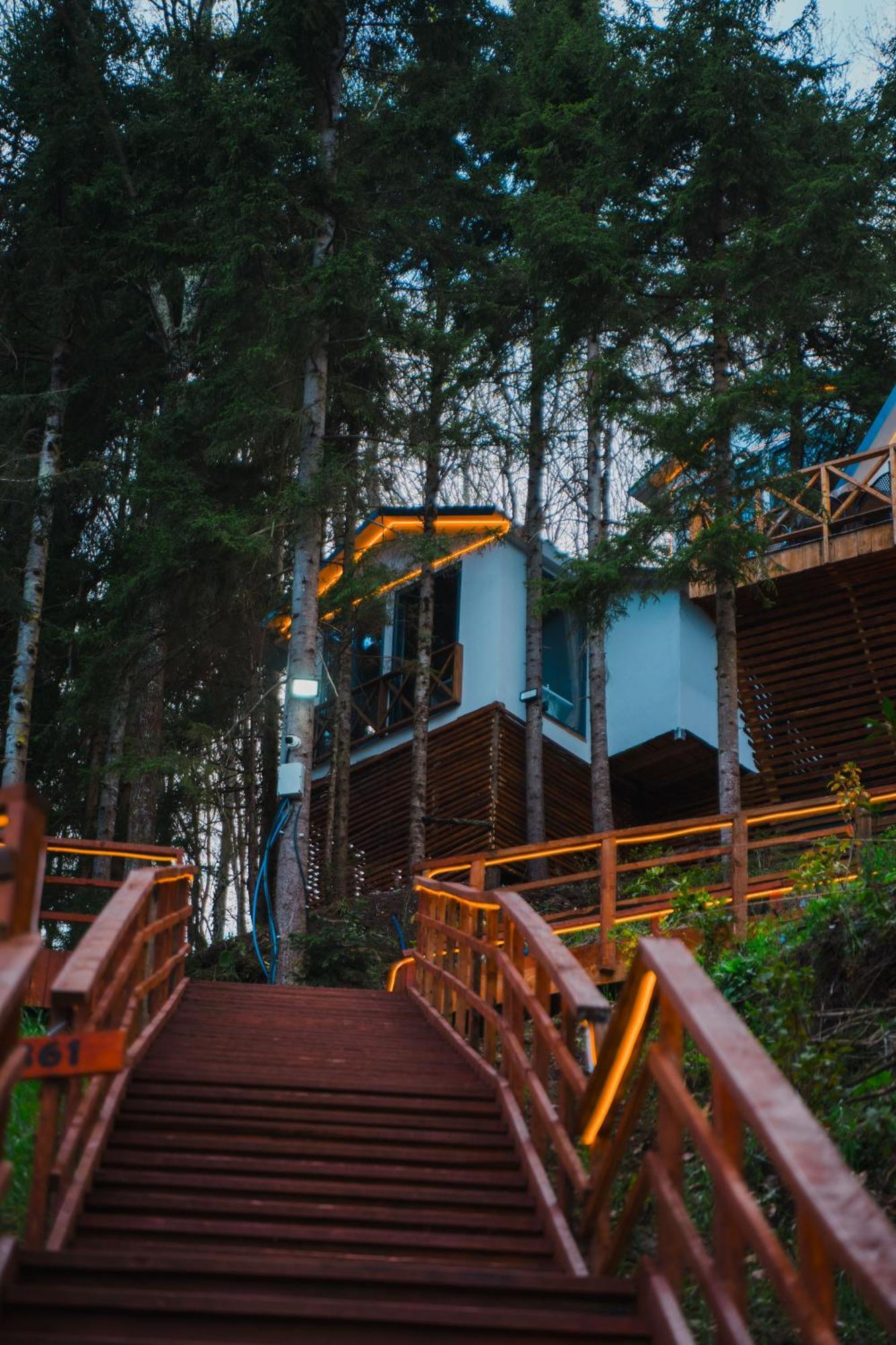 Montana * Trabzon