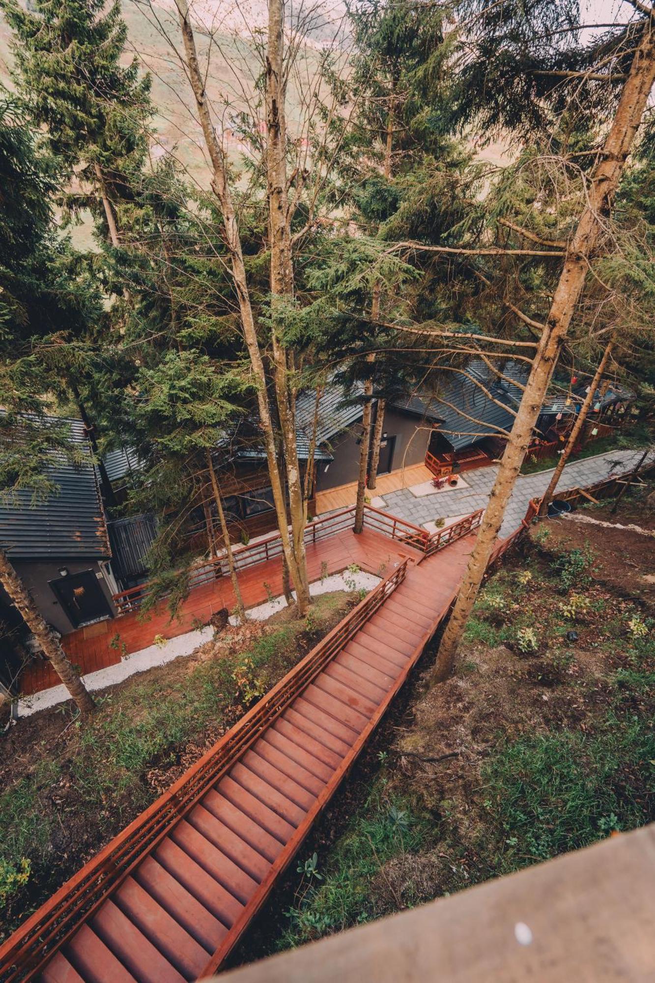 Montana Holiday home Trabzon