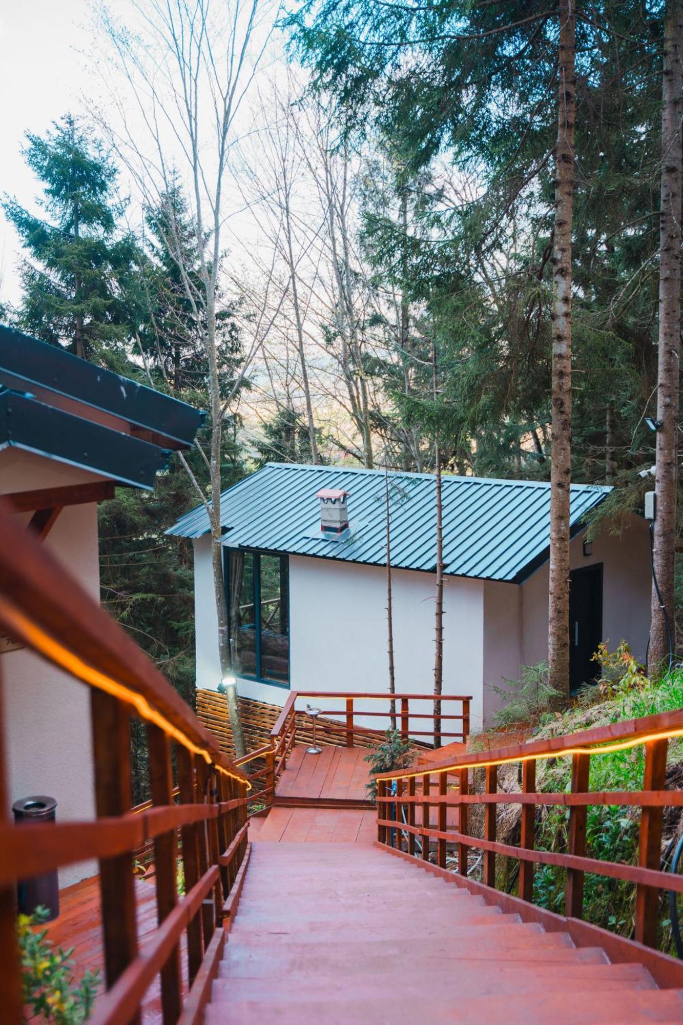 Montana Holiday home