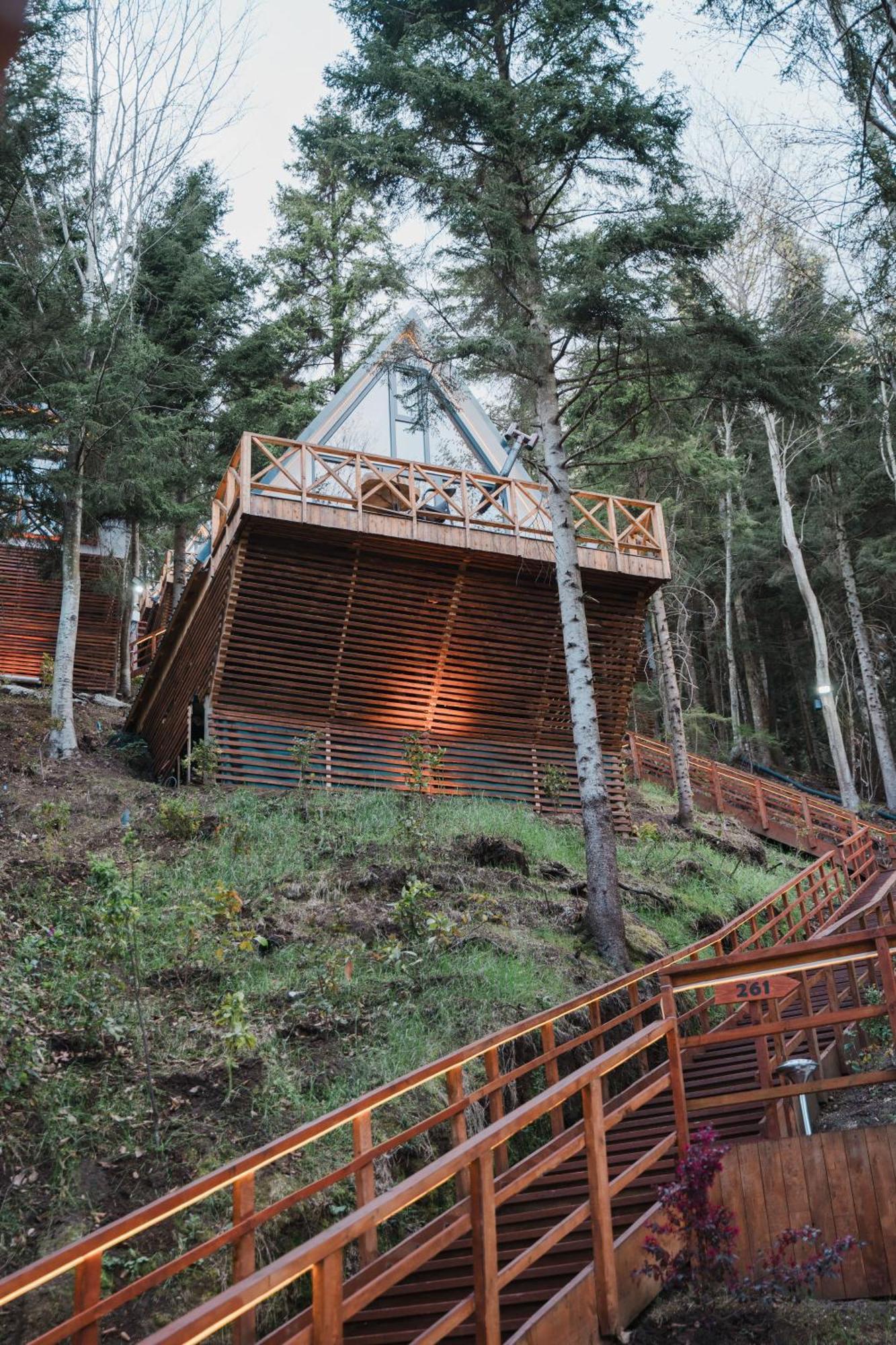 Holiday home Montana Trabzon