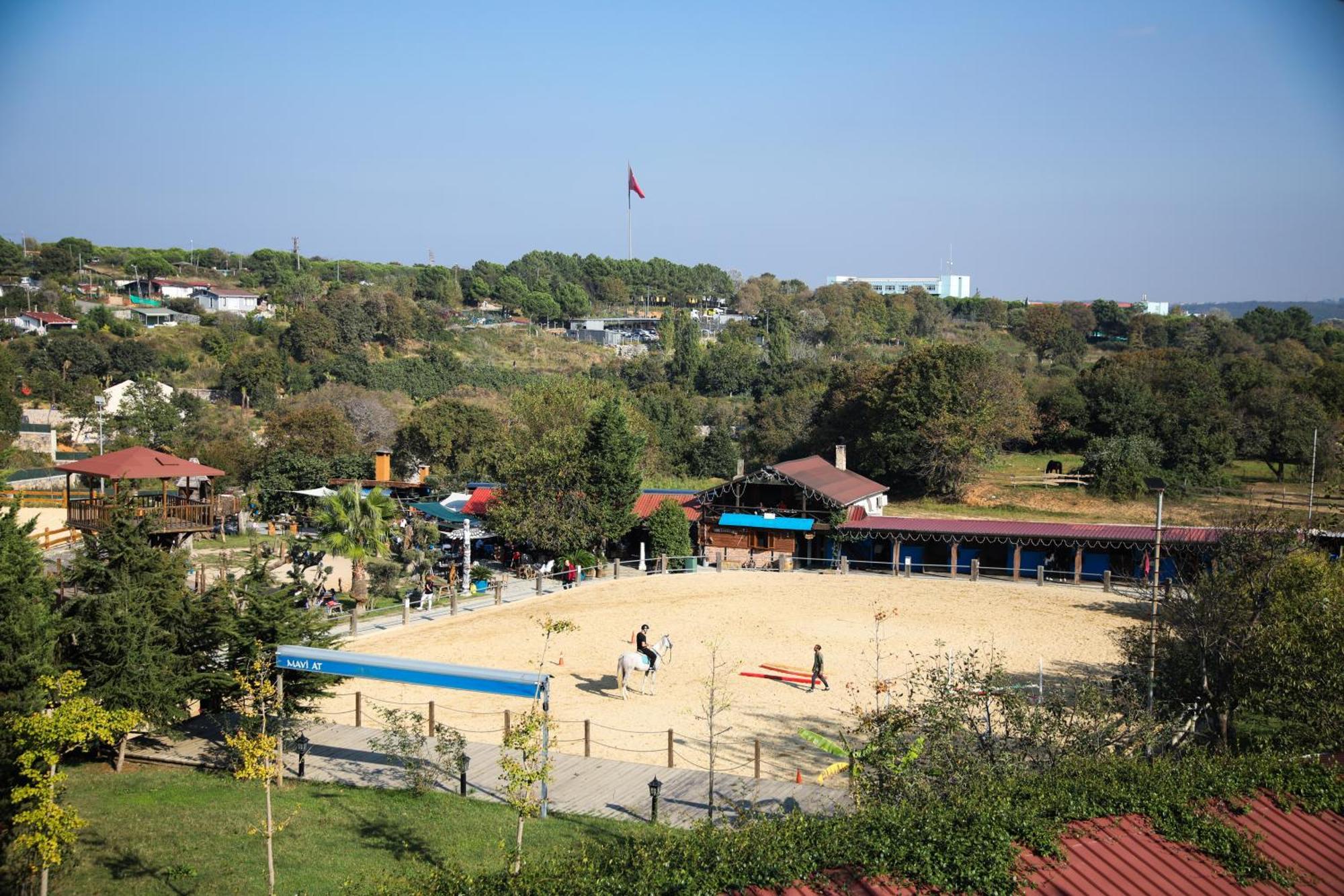 Resort Mavi At Blue Horse