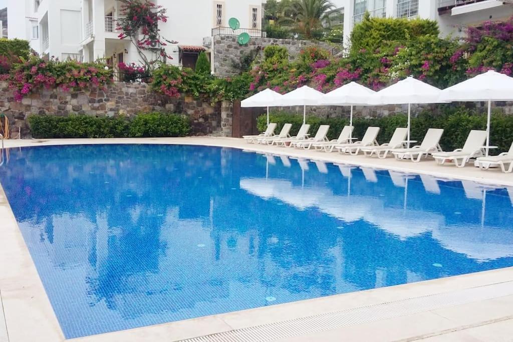 Seaview Luxury Apartment