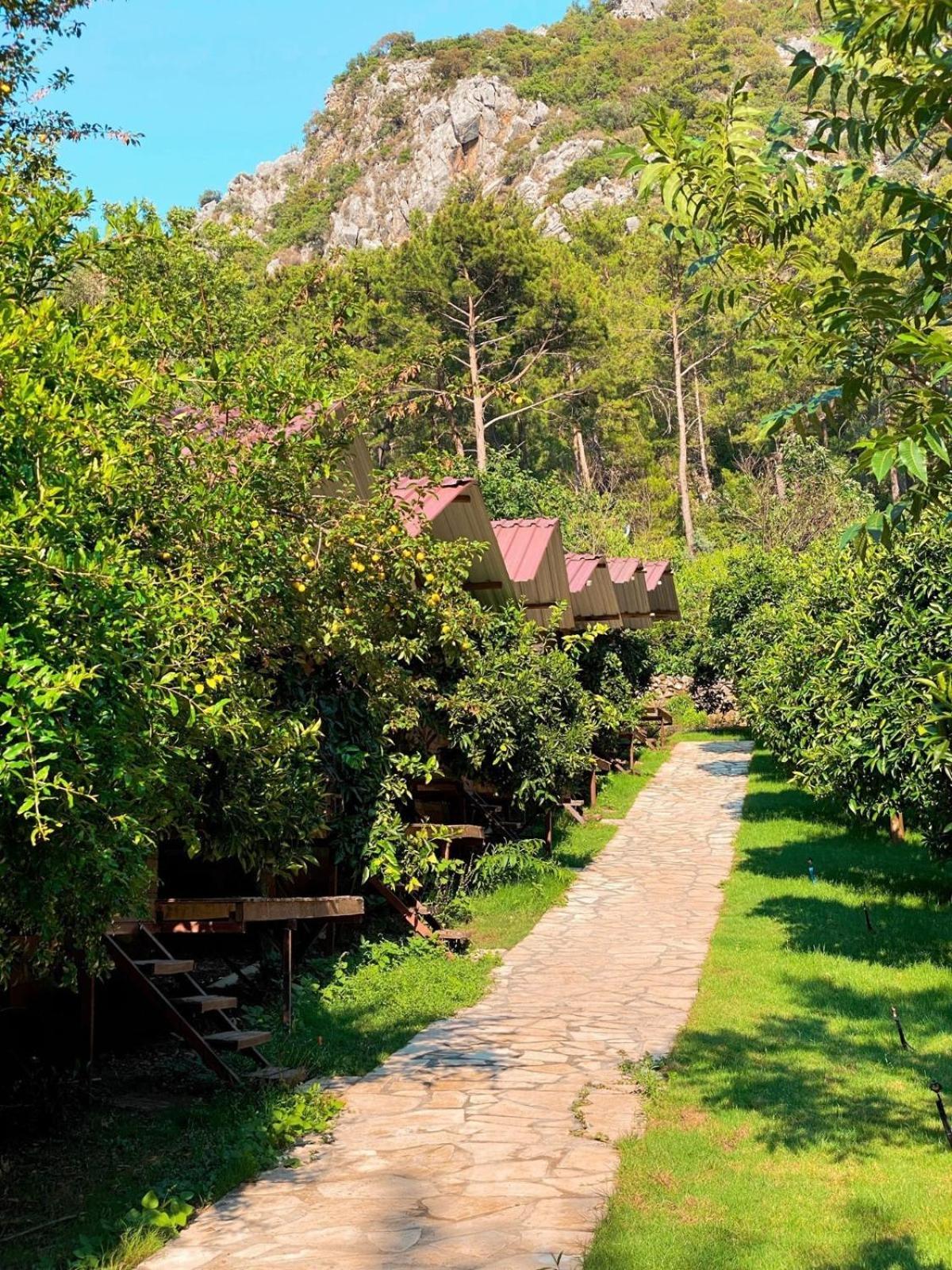Camlik Guest house *