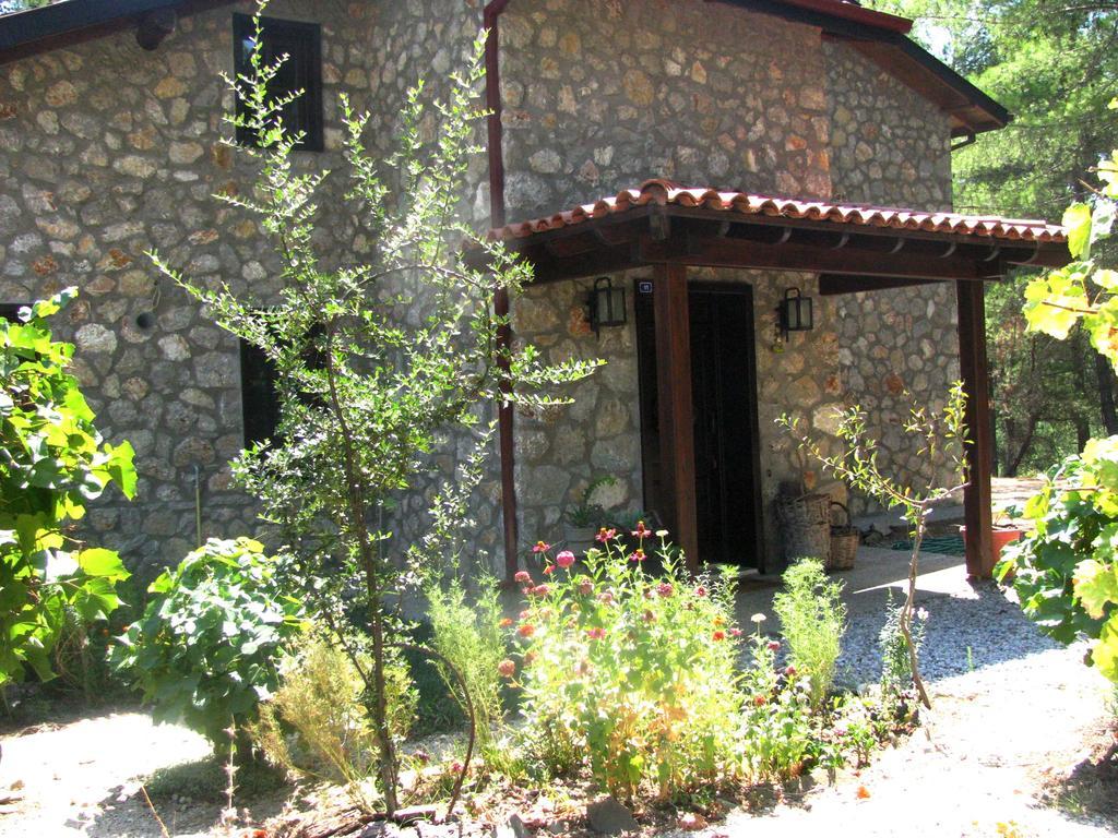 Dikencik Country house Uzumlu (Aegean)