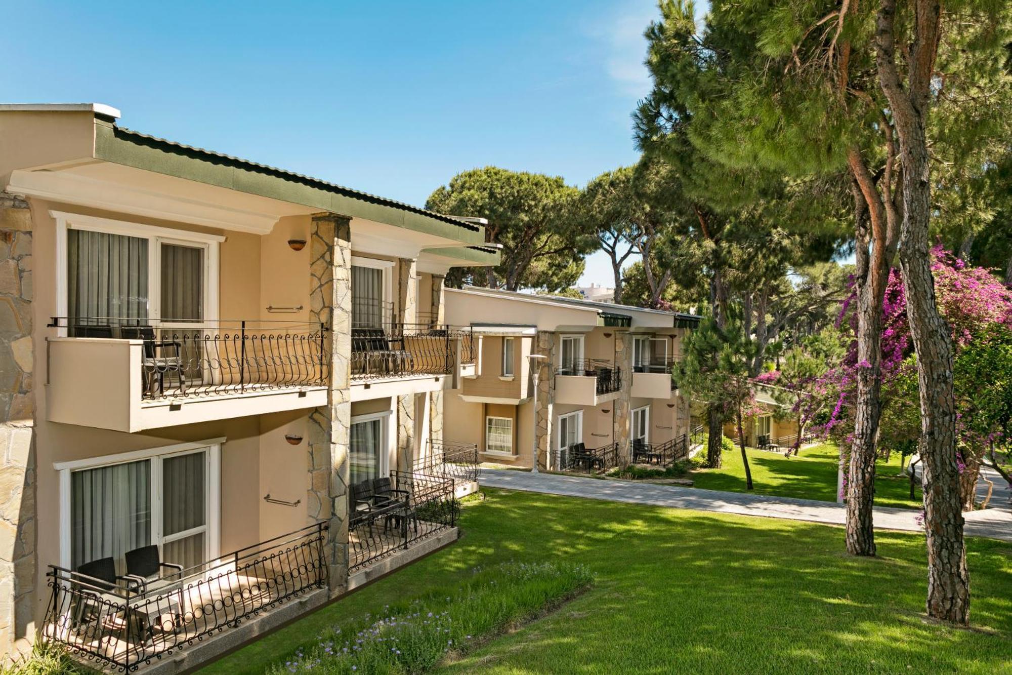 Pine Belek