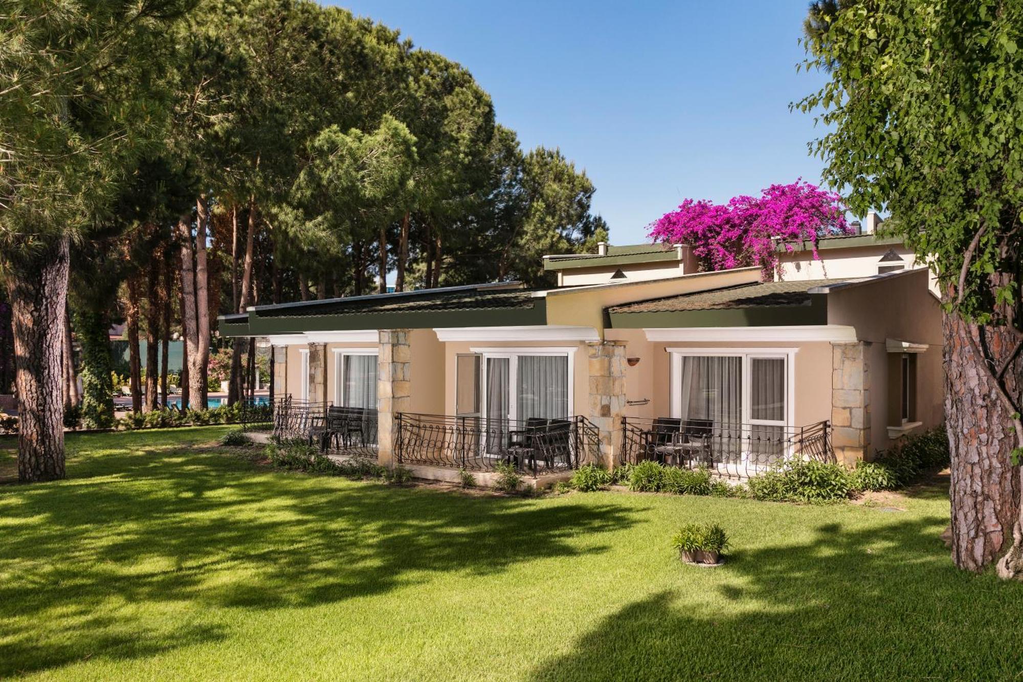 Resort Pine