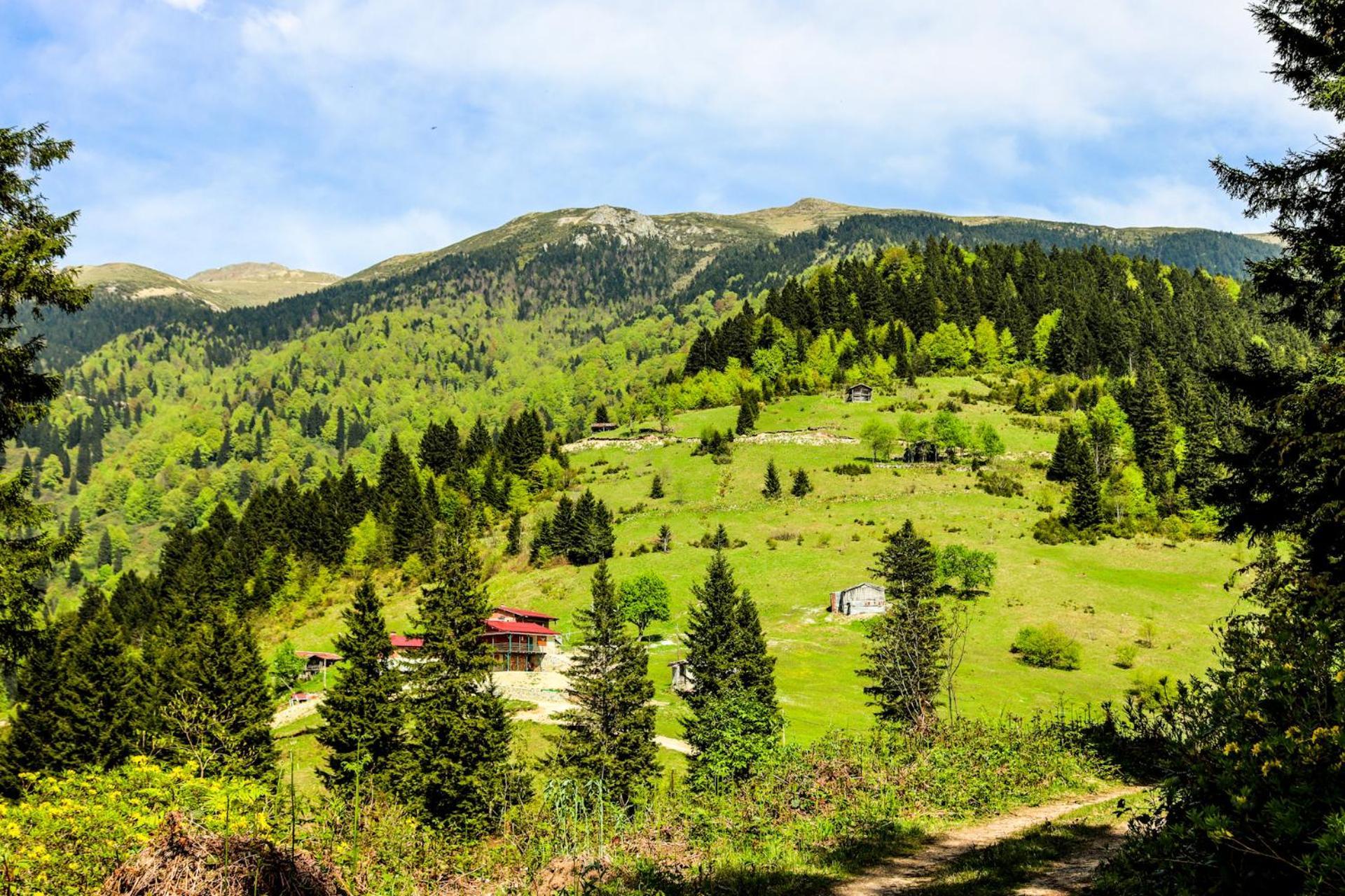 Mayben Uzungoel Hotel 4*