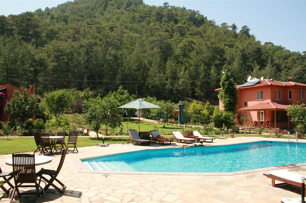 Dalya Life Hotel