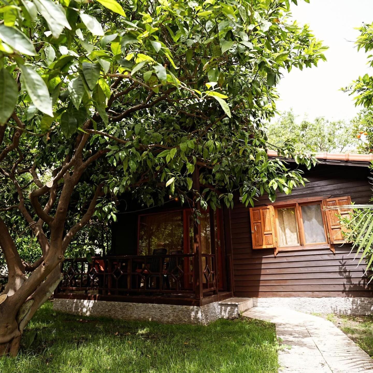 Cirali Hotel Hotel