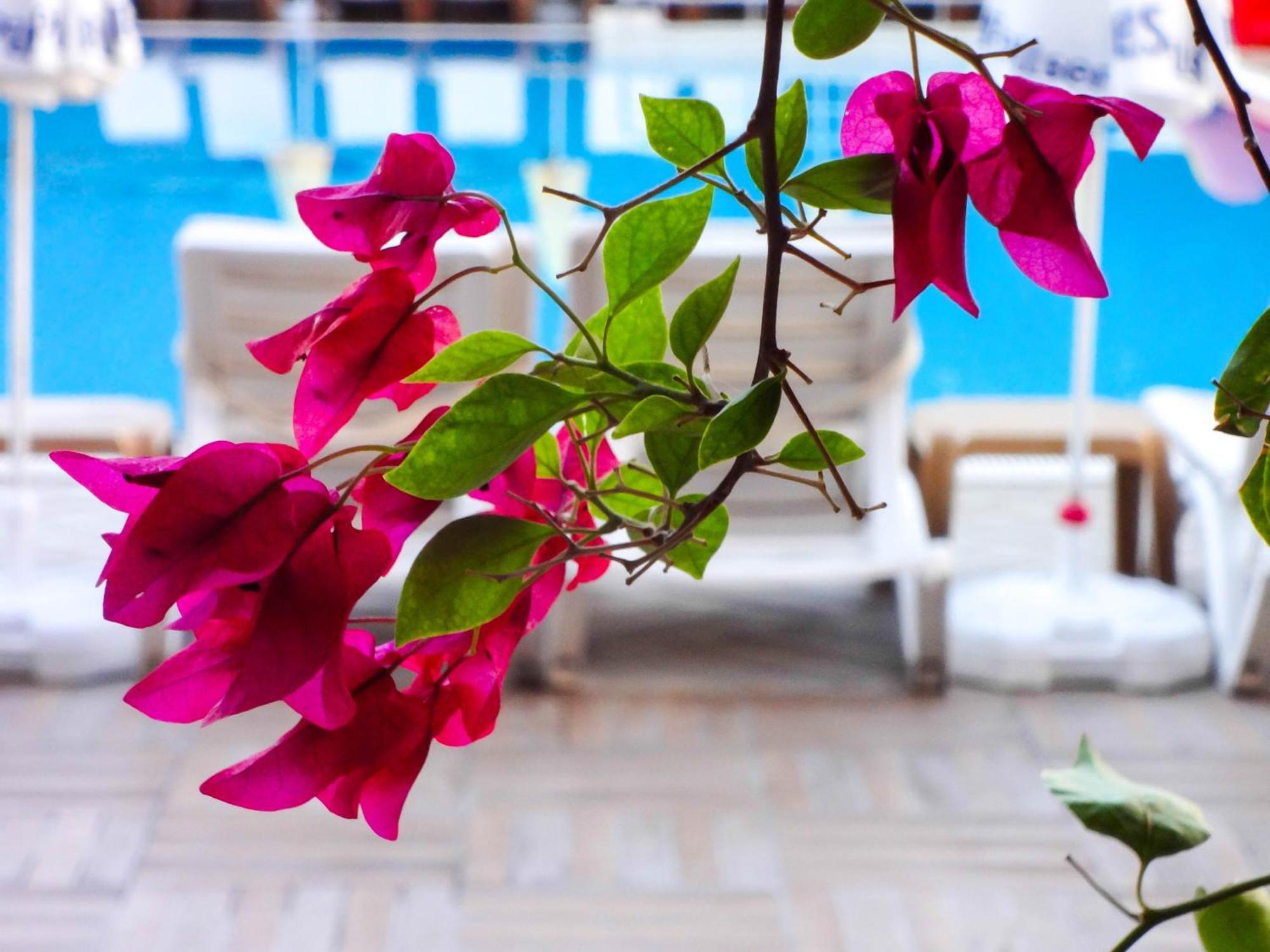 Hotel Grand Viking 4*