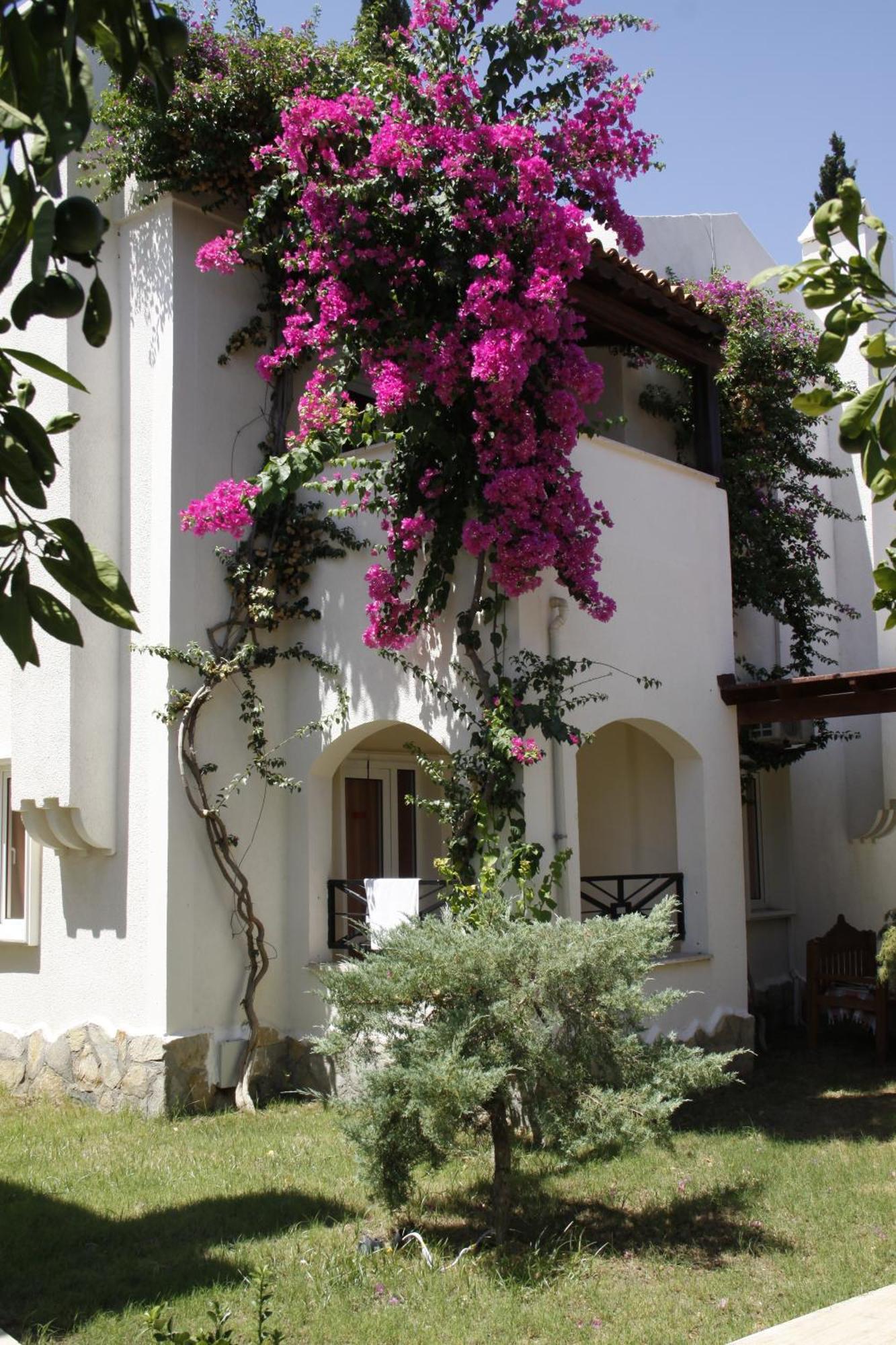 Aparthotel Summer Garden
