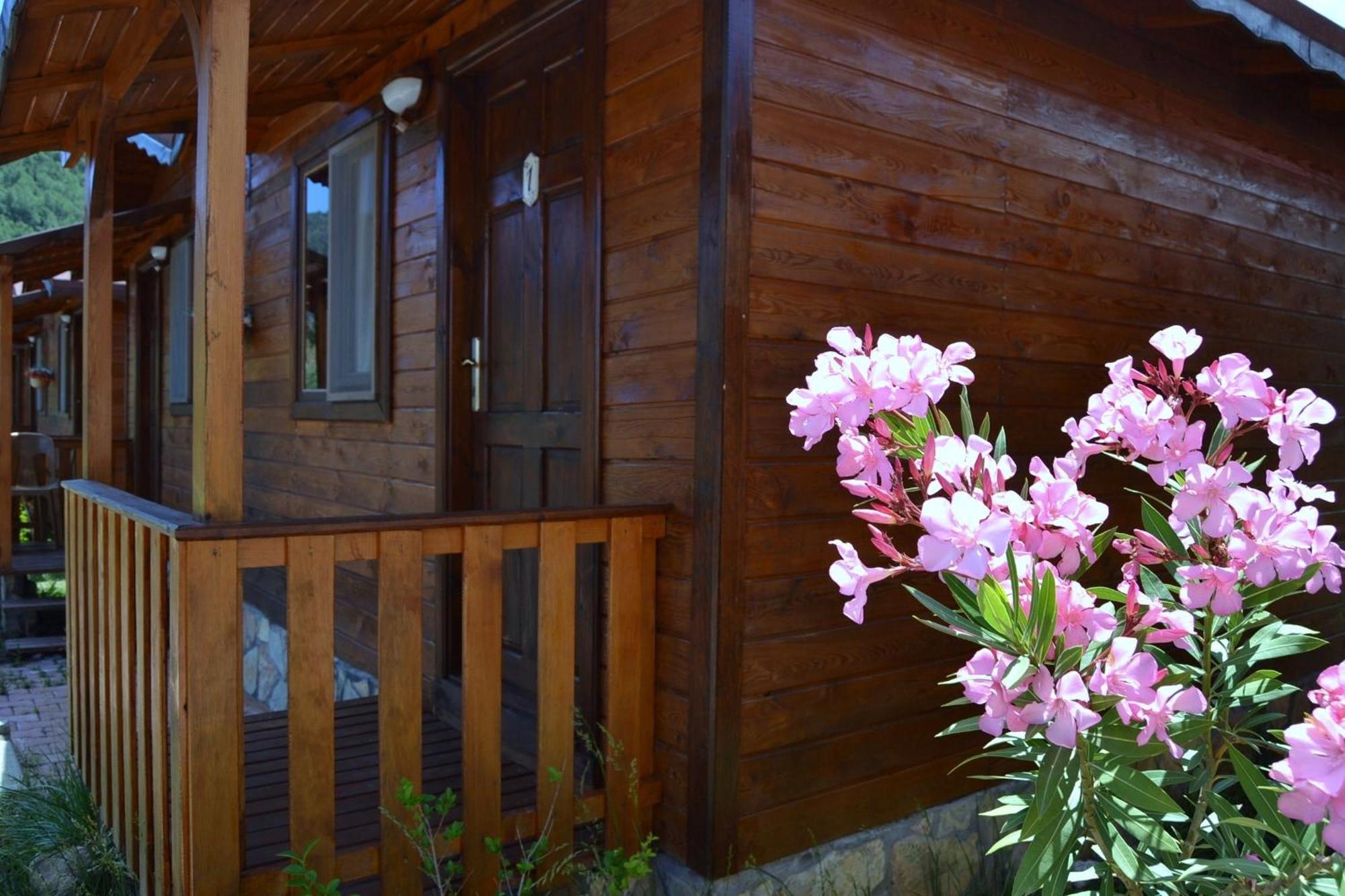 Guest house Ada 3*