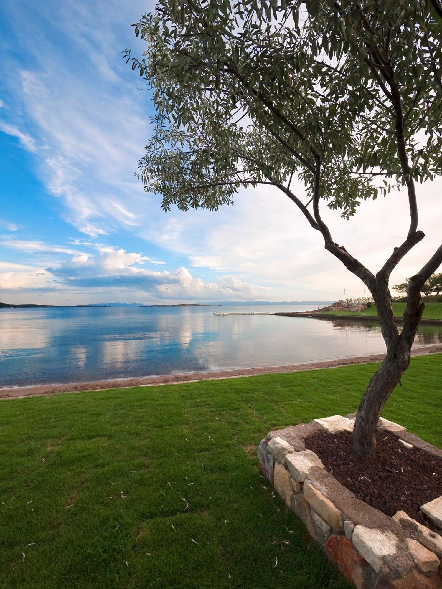 Ortunc - Cunda Island (adults Only) Ayvalik