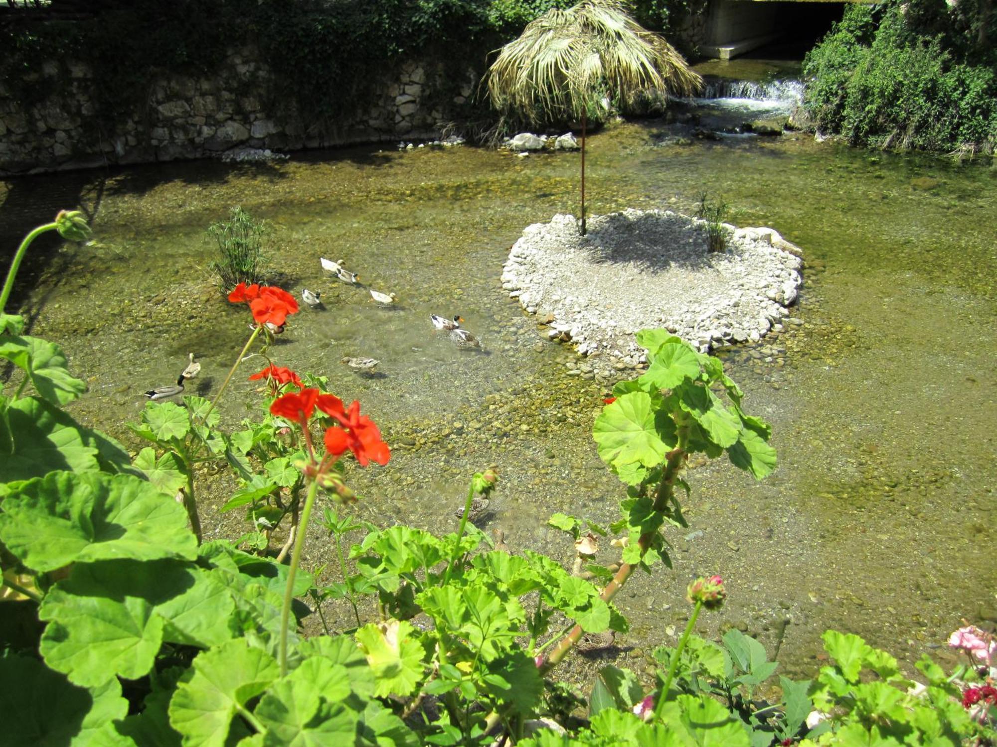 Hotel Arikanda River Garden 3*