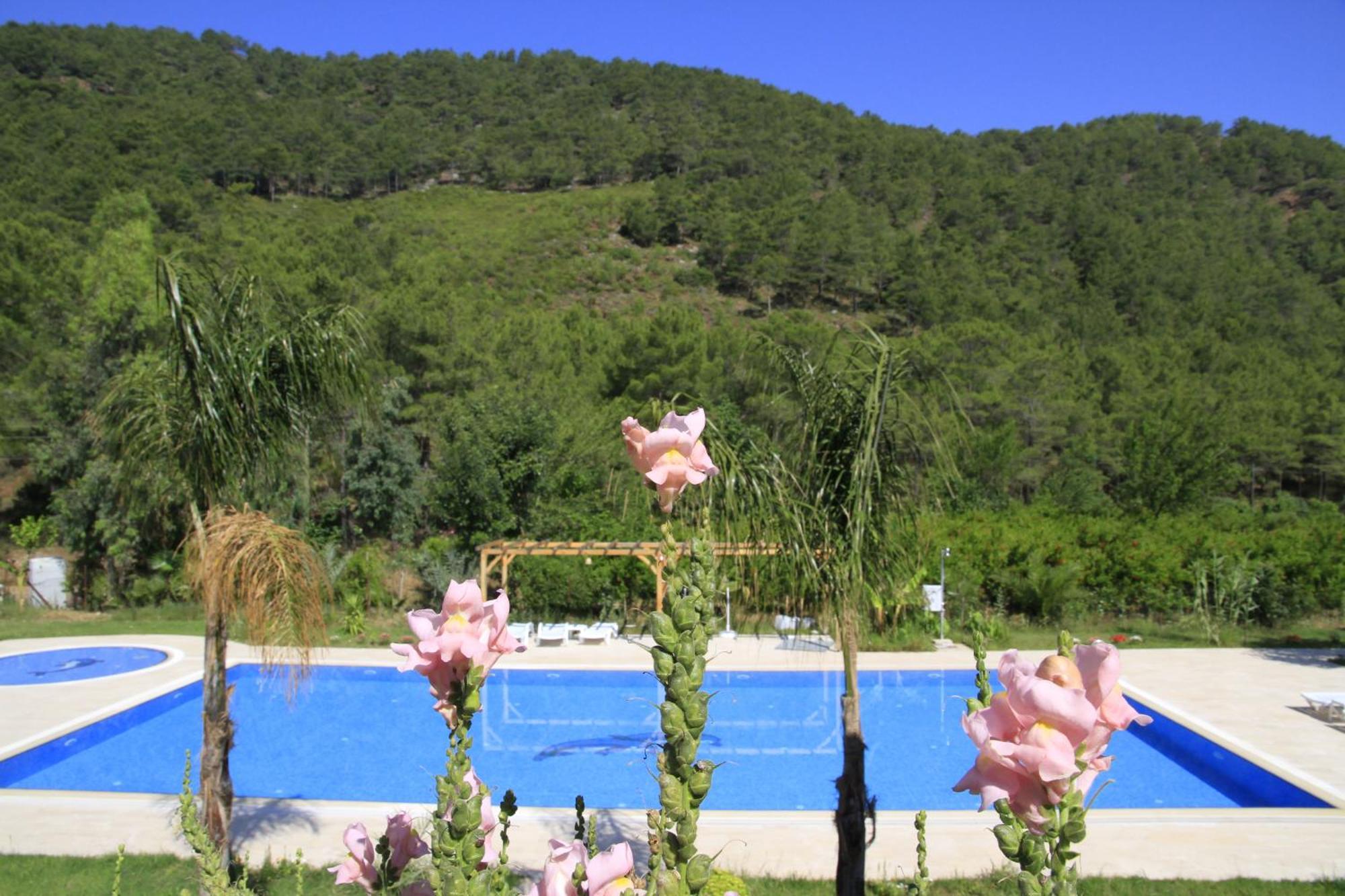 Yonca