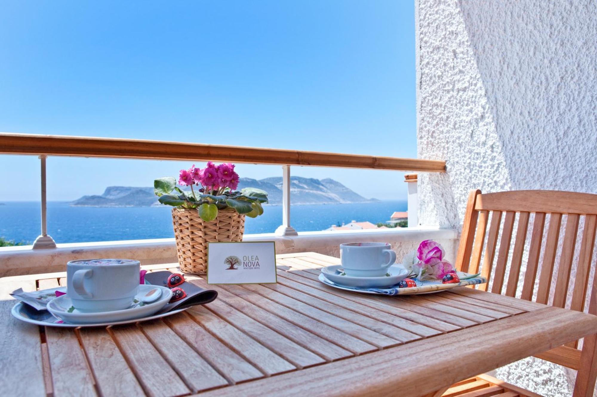 Hotel Olea Nova 3*