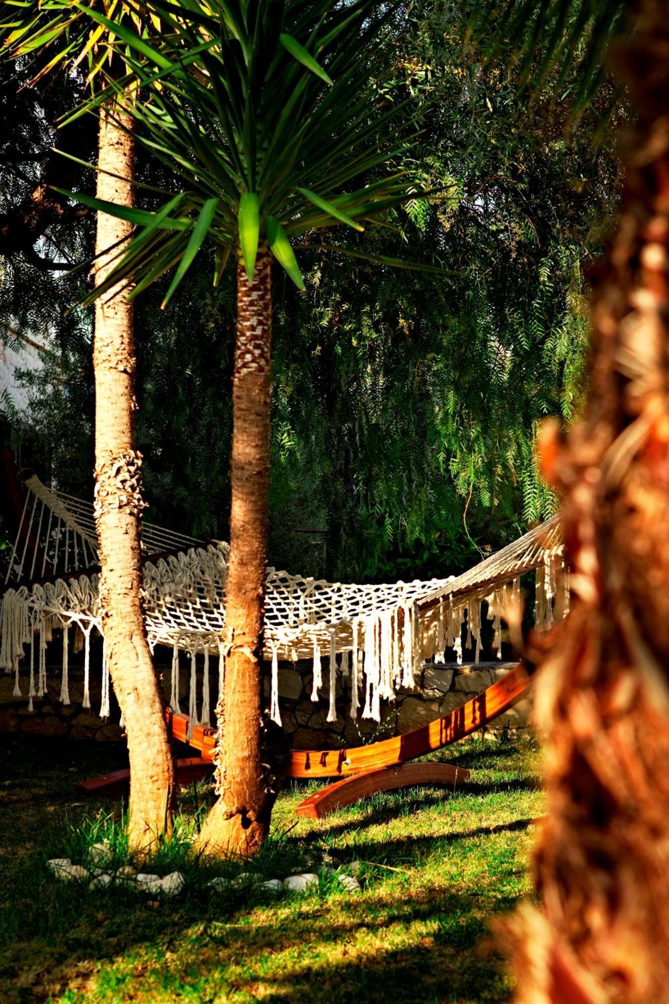 Hotel Olea Nova 3*