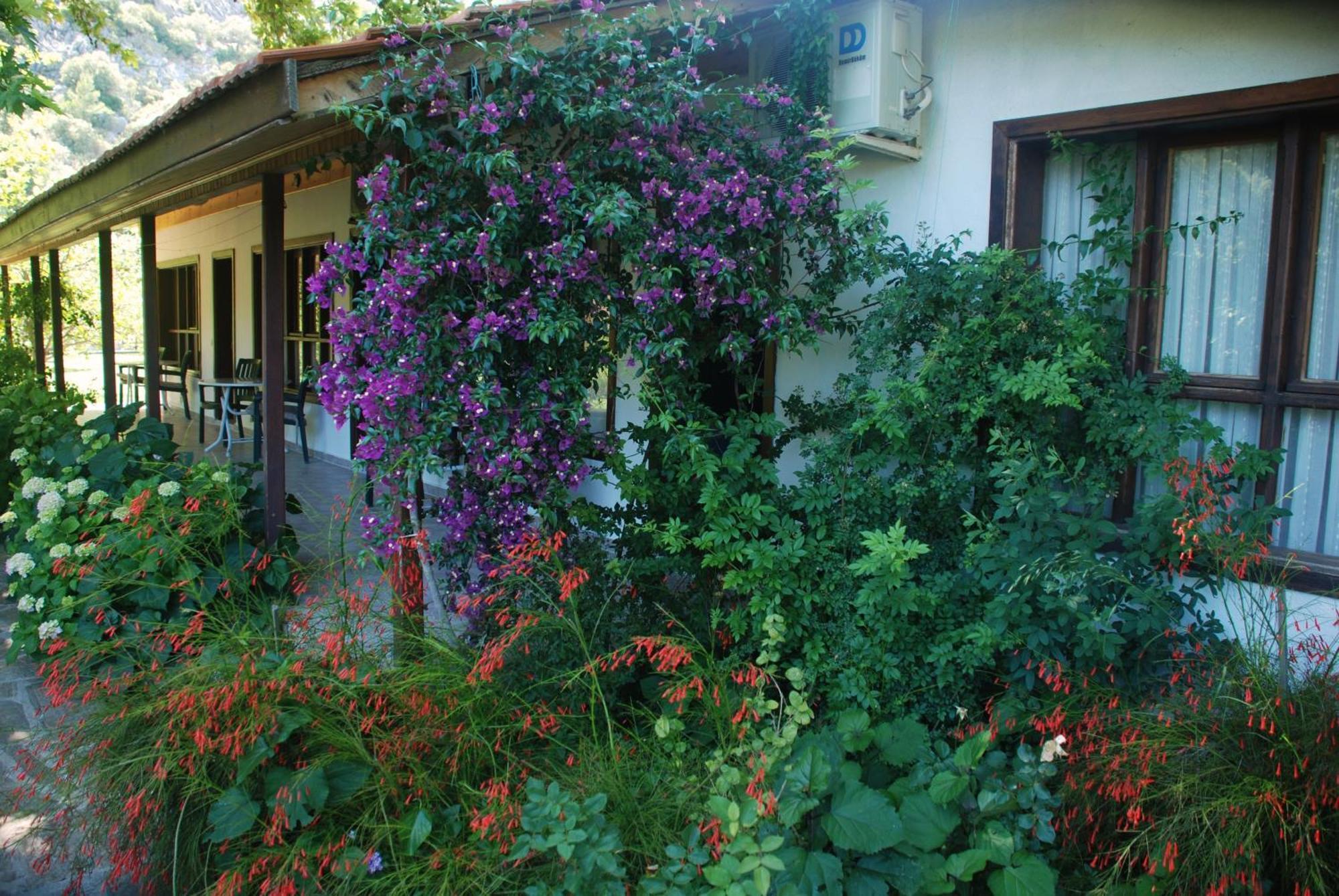 Aparthotel Dolunay *
